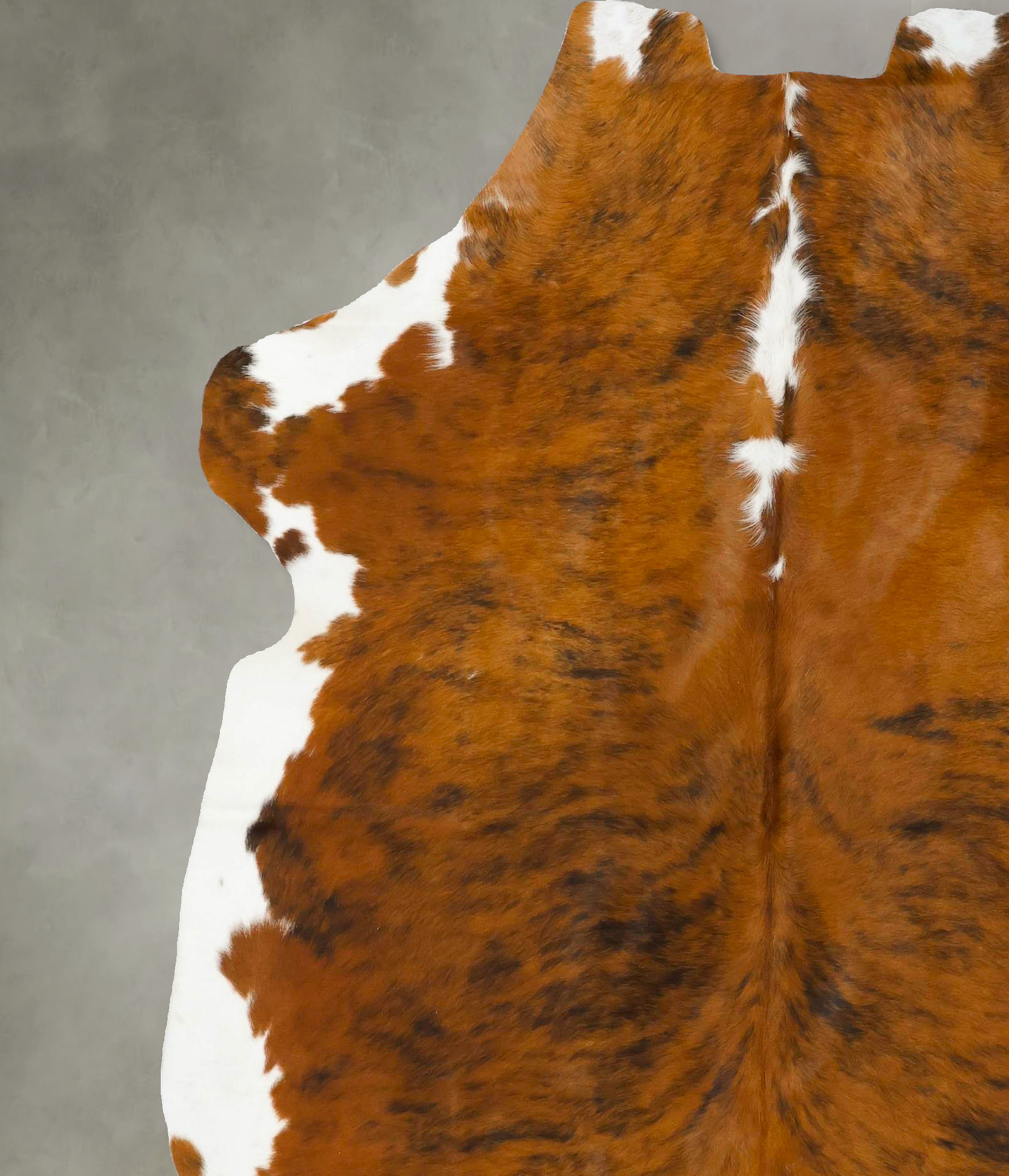 Tricolor Cowhide Rug #B22942