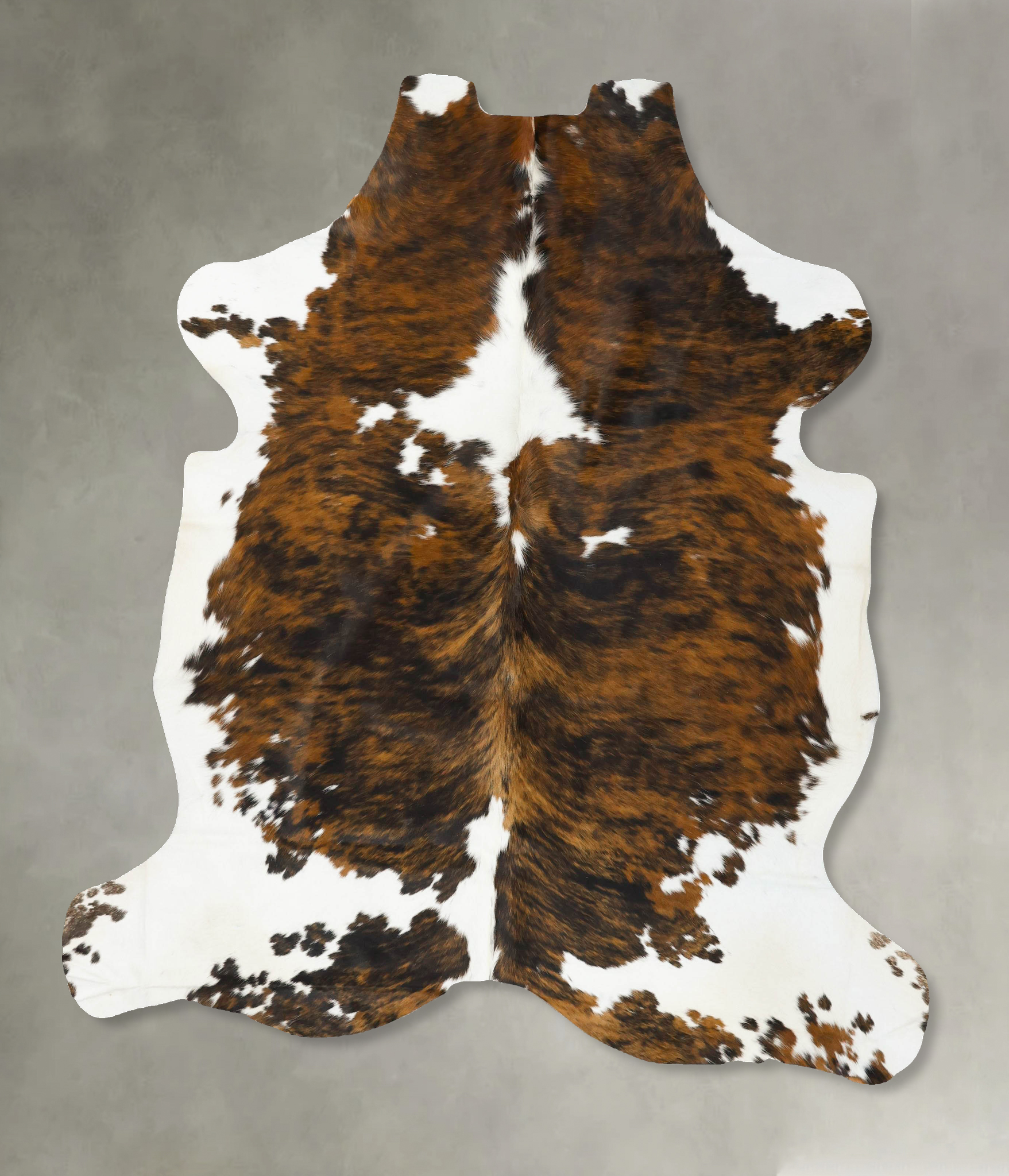 Tricolor Cowhide Rug #B22943