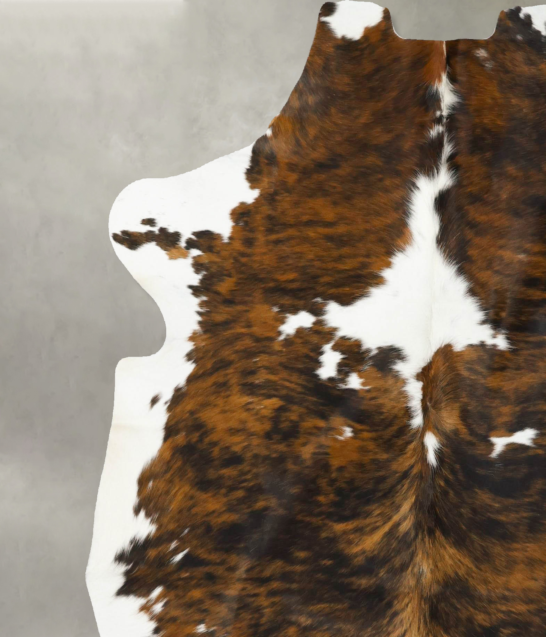 Tricolor Cowhide Rug #B22943
