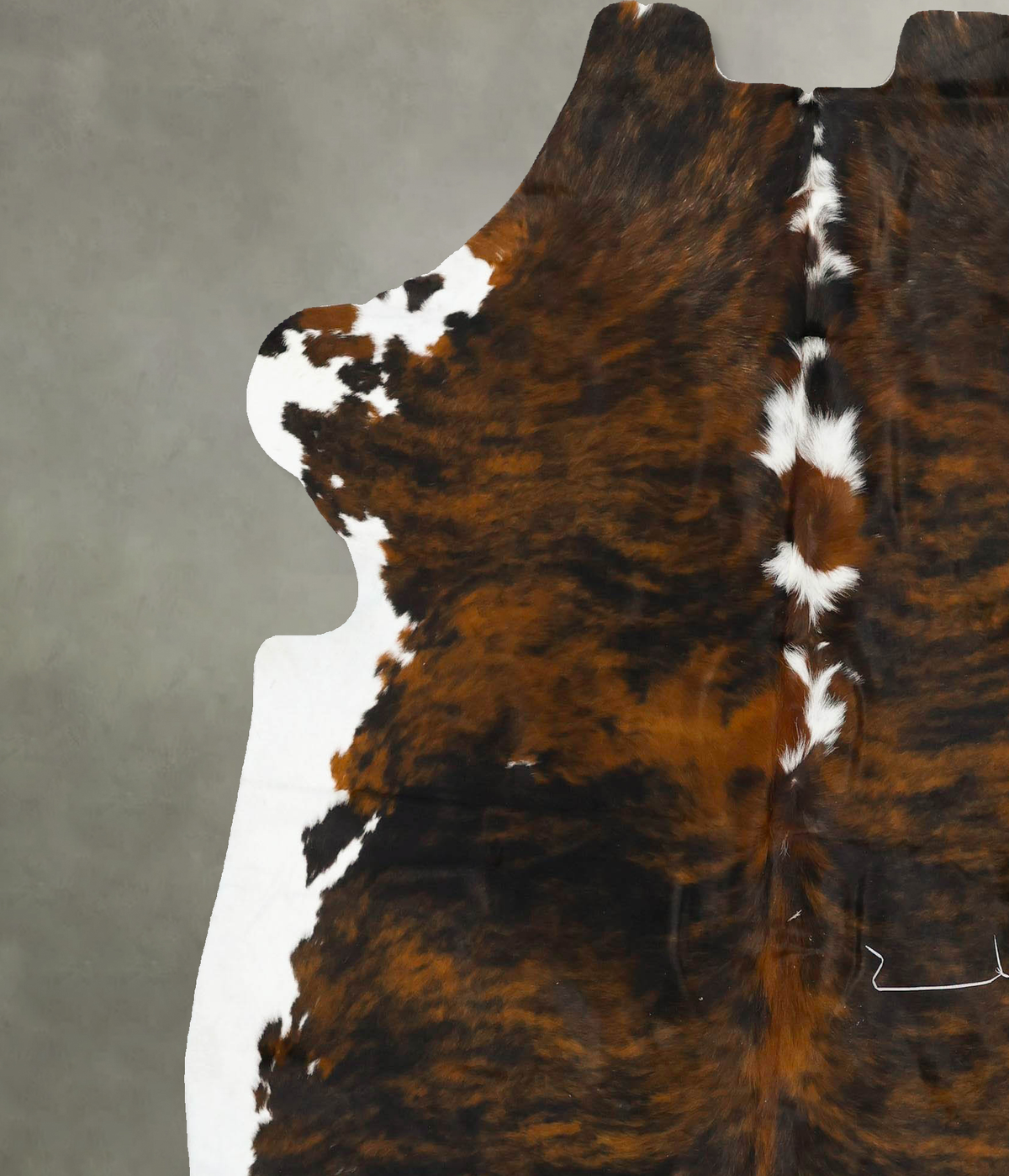 Tricolor X-Large European Cowhide Rug 7'2"H x 6'7"W #B22944 by Hudson Hides