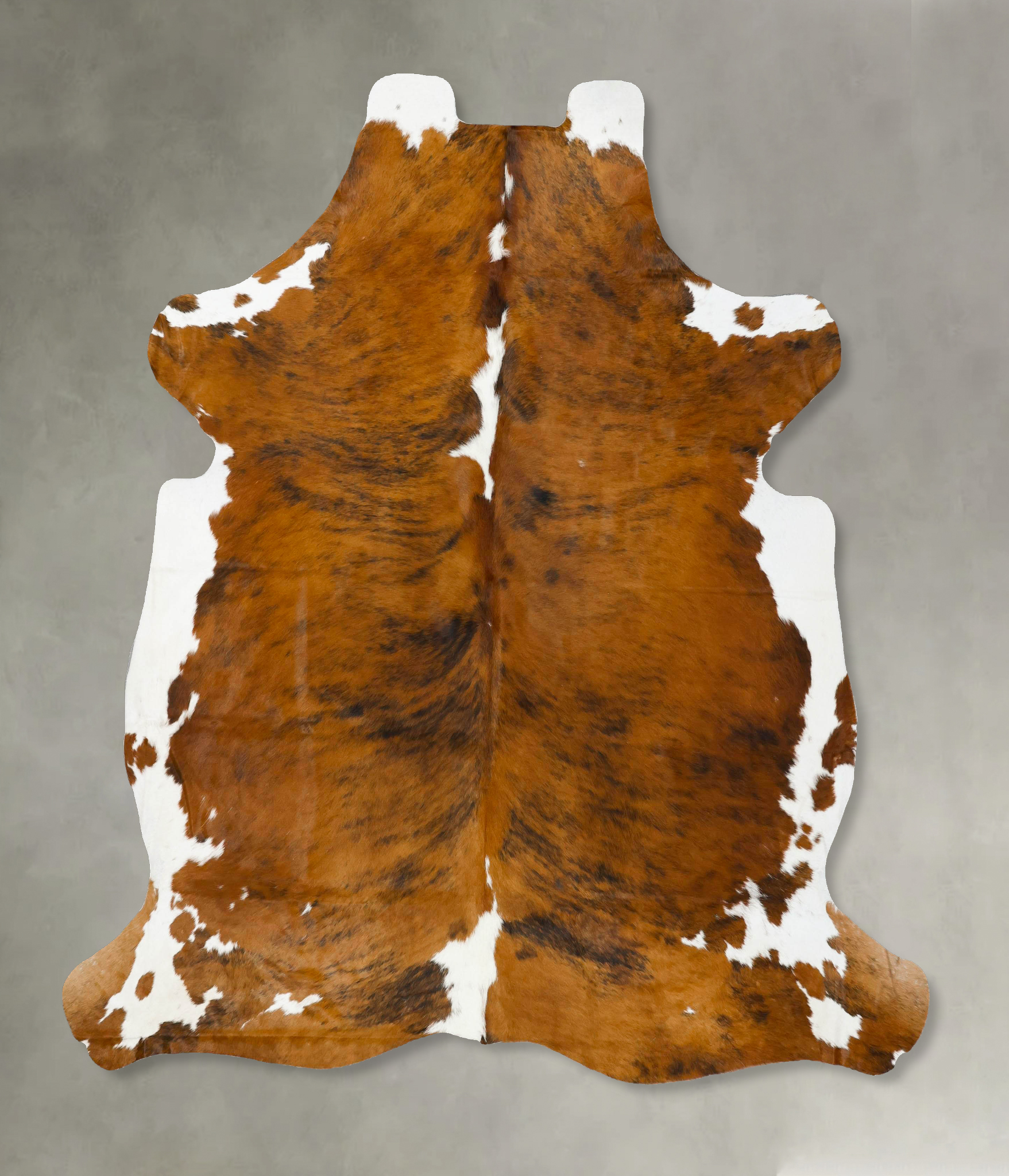 Tricolor Cowhide Rug #B22946