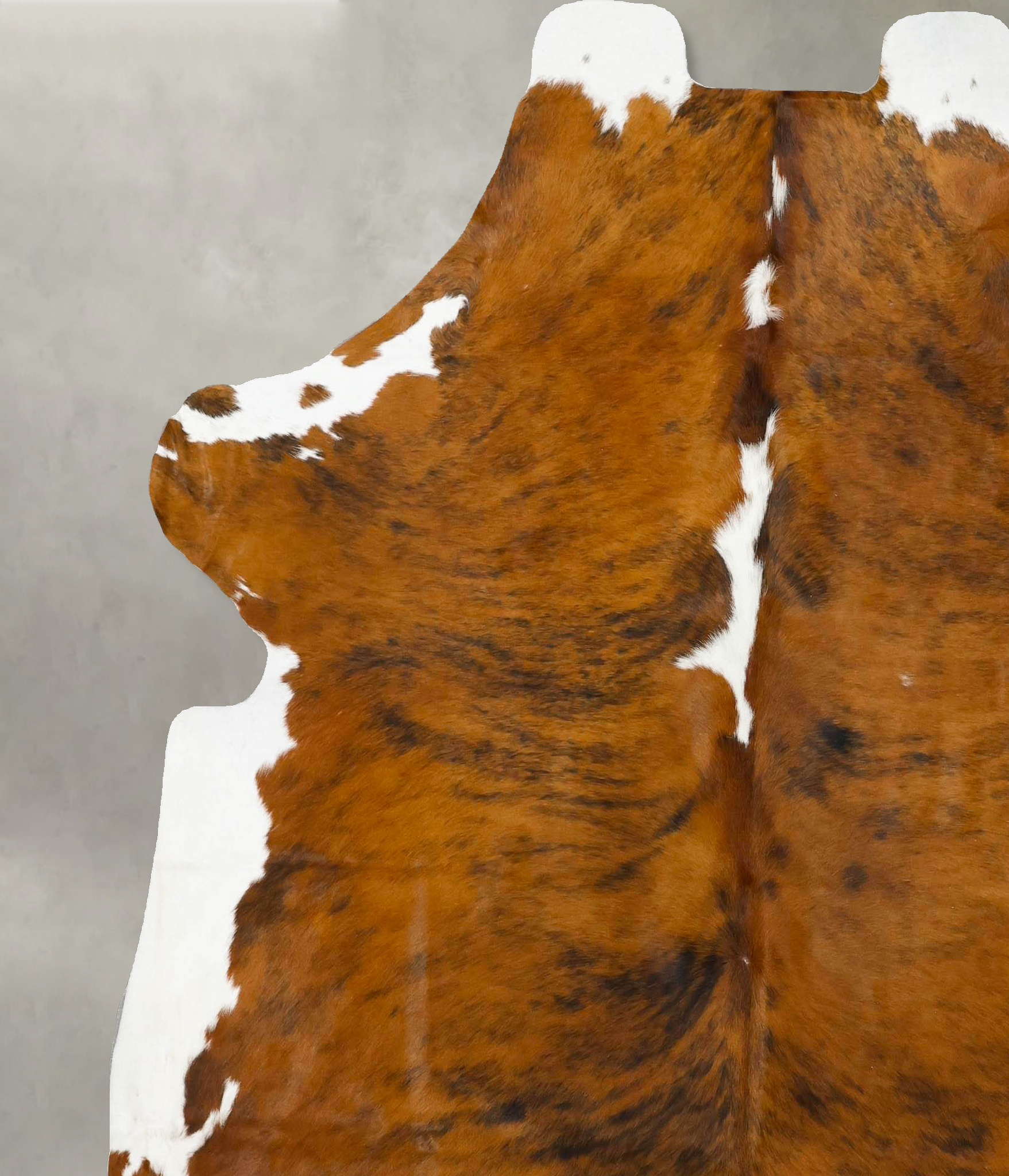 Tricolor Cowhide Rug #B22946