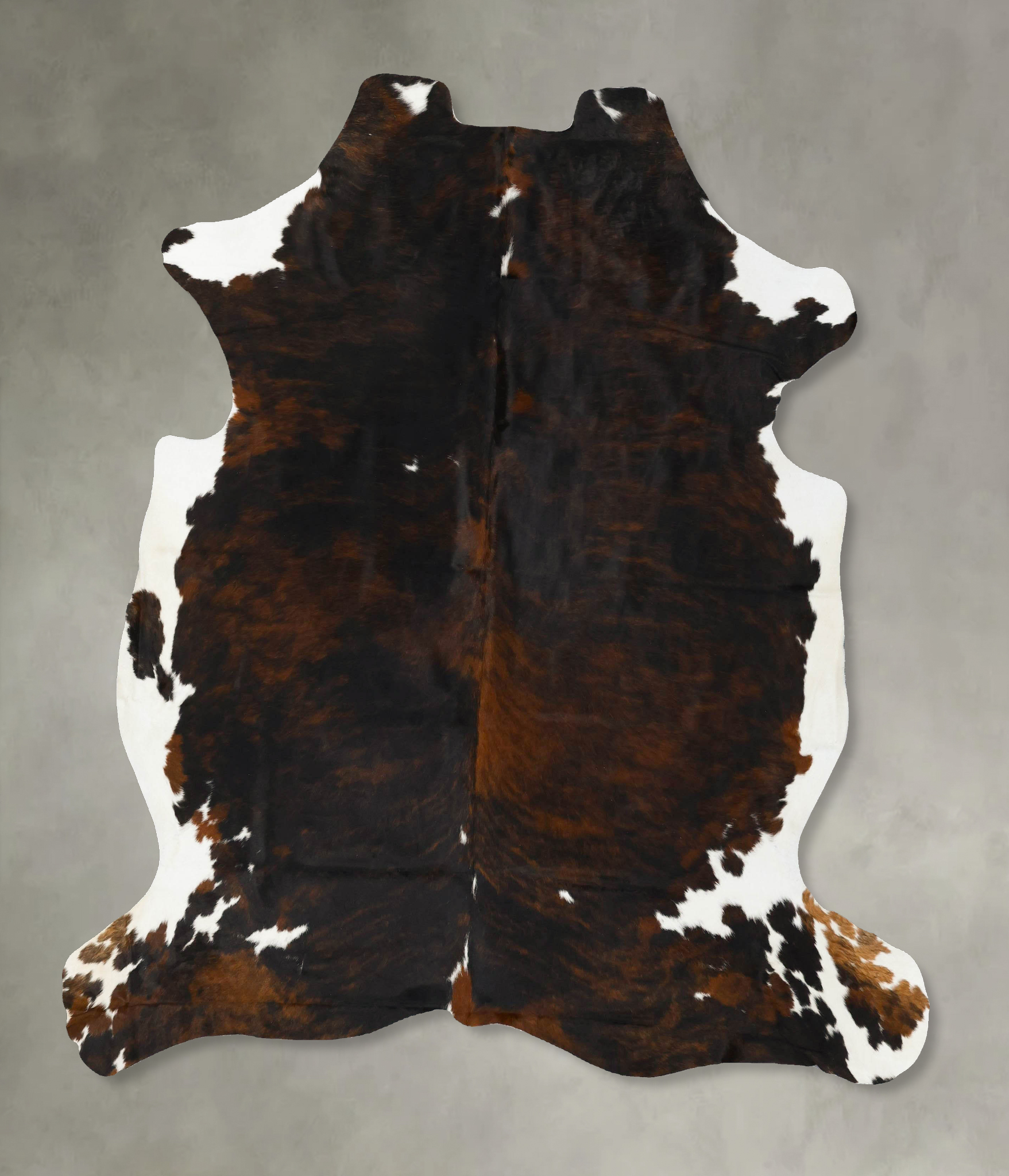 Tricolor Cowhide Rug #B22949