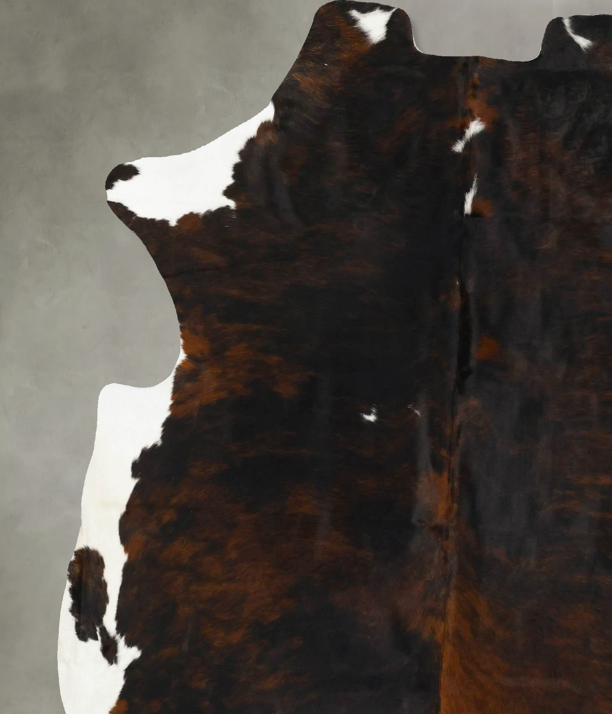 Tricolor X-Large European Cowhide Rug 7'1"H x 6'5"W #B22949 by Hudson Hides