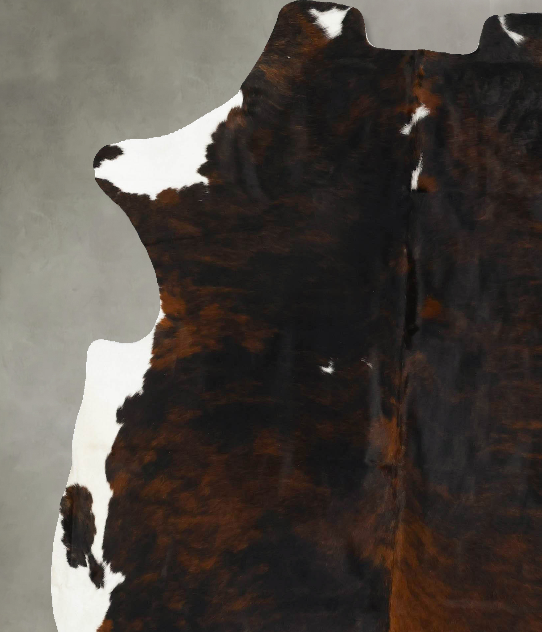 Tricolor Cowhide Rug #B22949