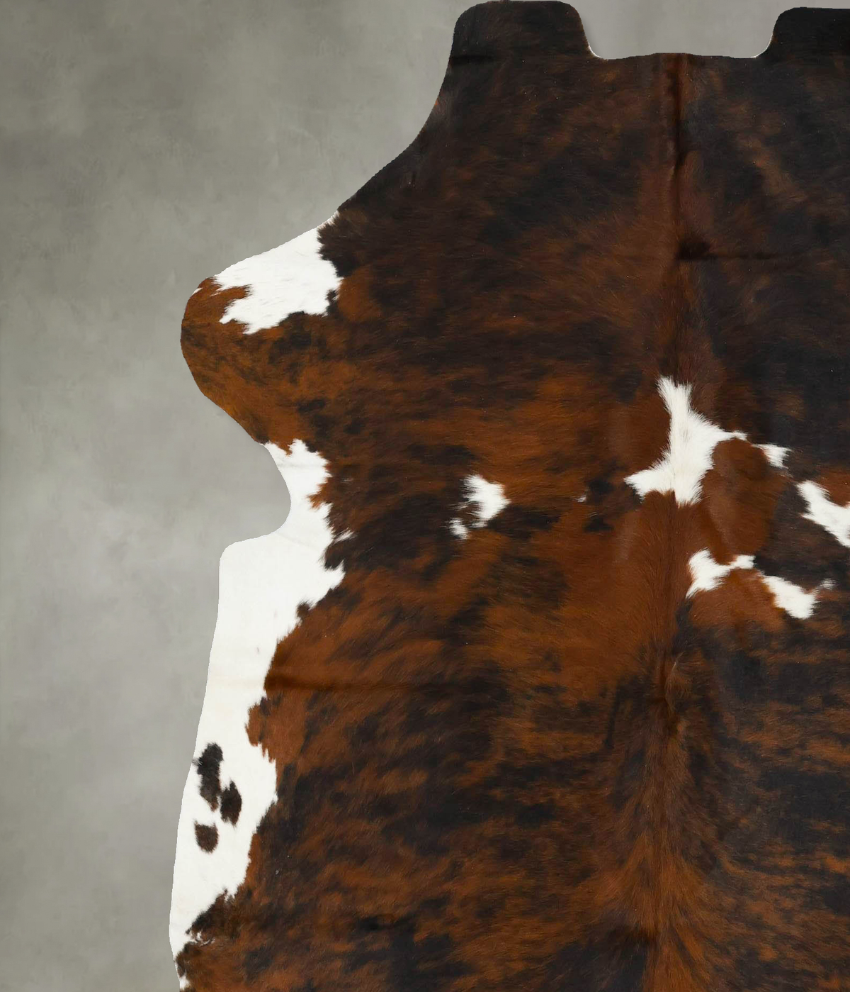 Tricolor X-Large European Cowhide Rug 7'1"H x 6'3"W #B22950 by Hudson Hides
