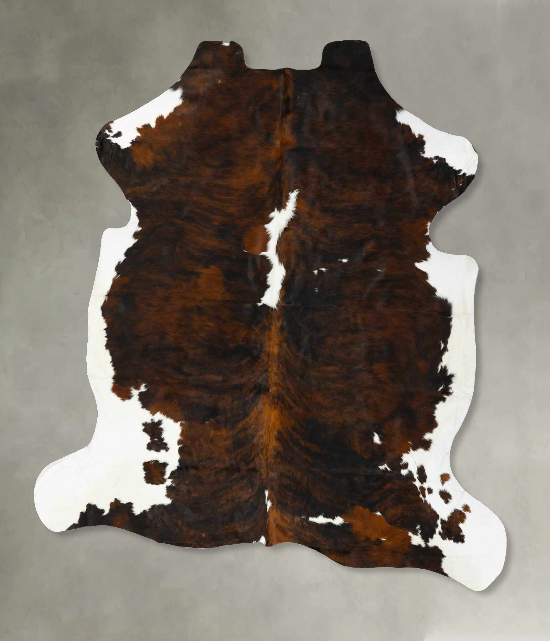 Tricolor Cowhide Rug #B22954