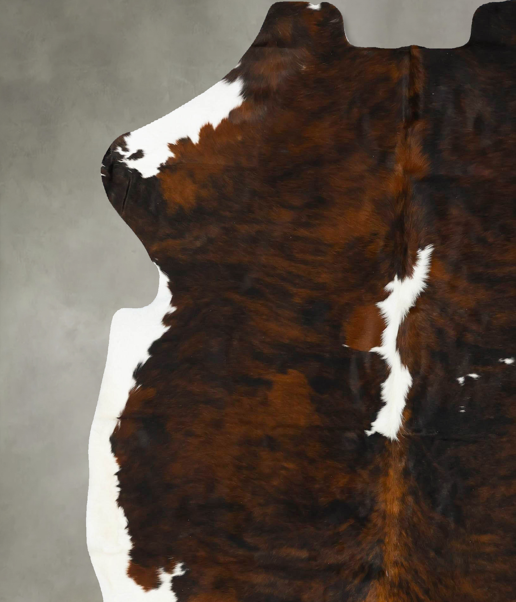Tricolor Cowhide Rug #B22954