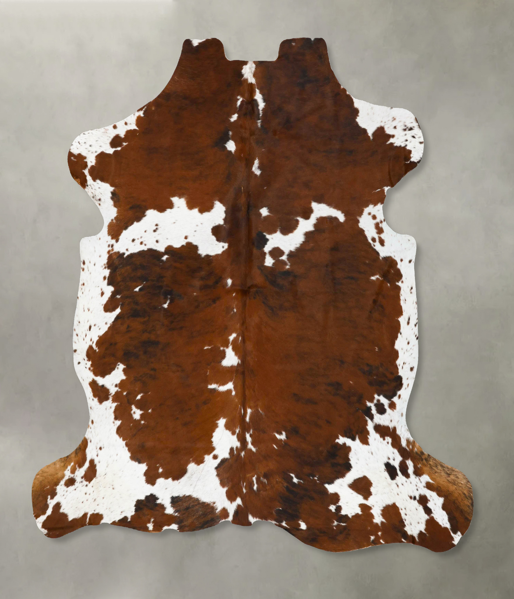 Tricolor Cowhide Rug #B22955