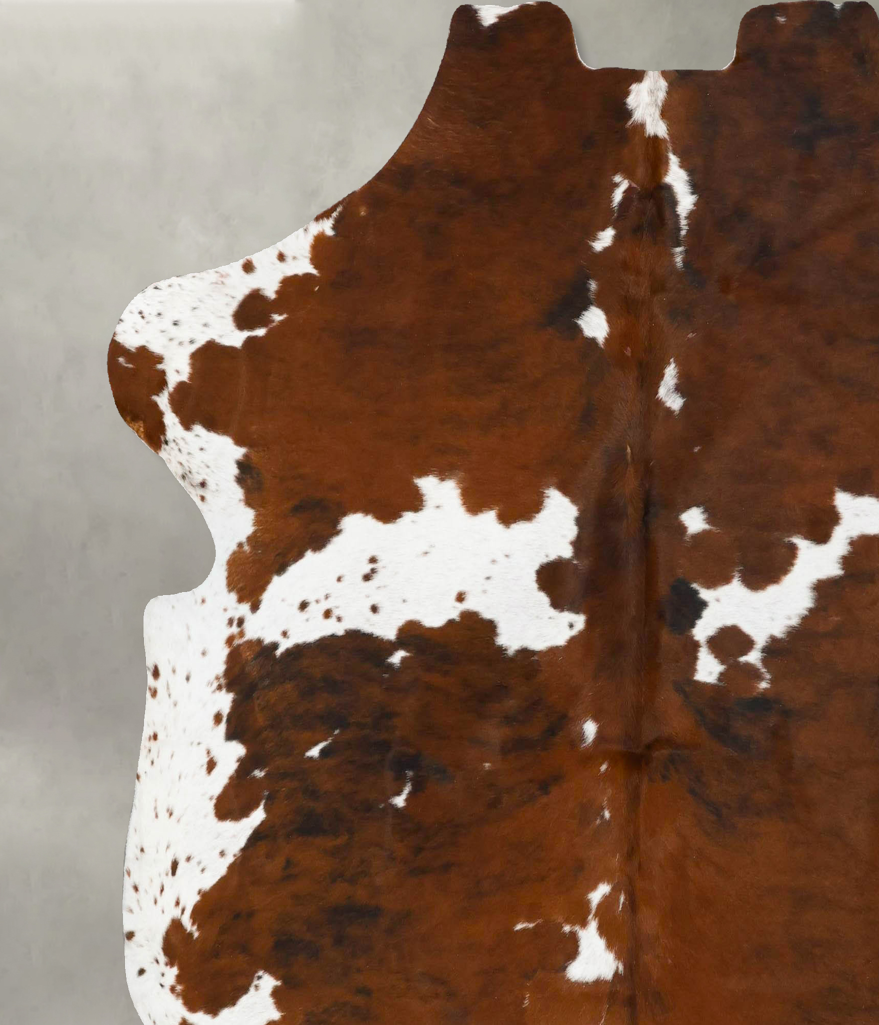 Tricolor Cowhide Rug #B22955