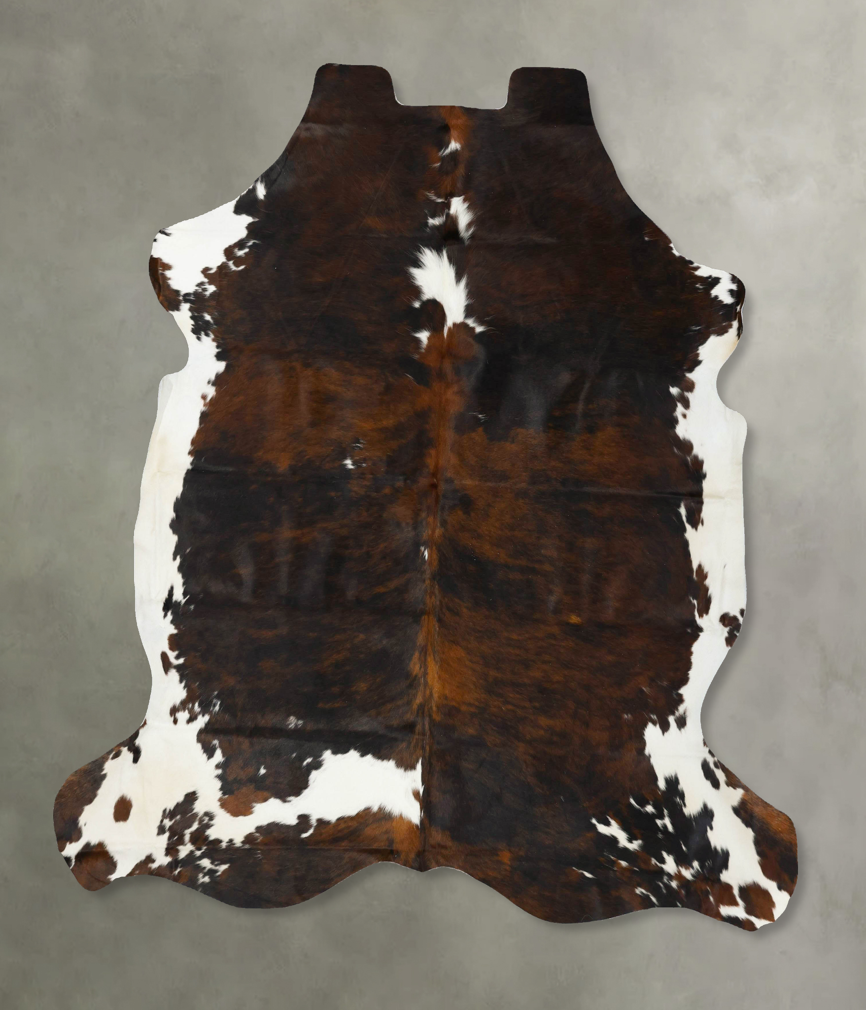 Tricolor Cowhide Rug #B22959