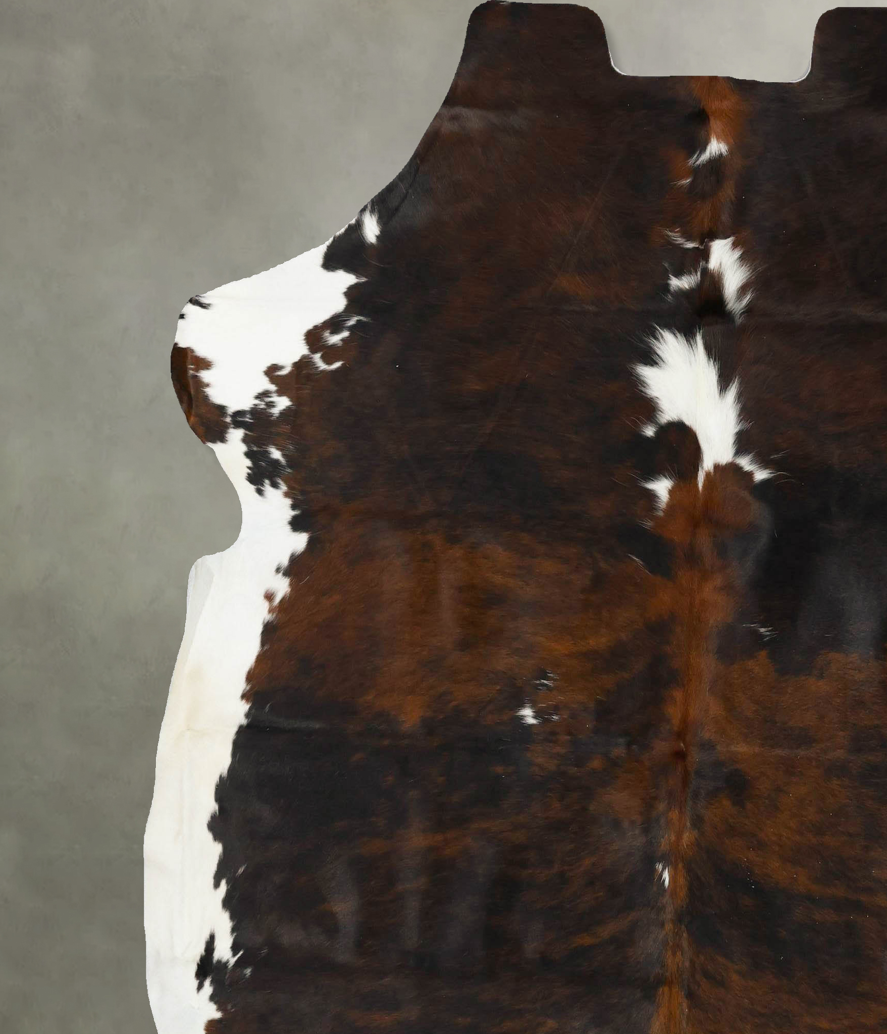 Tricolor Cowhide Rug #B22959