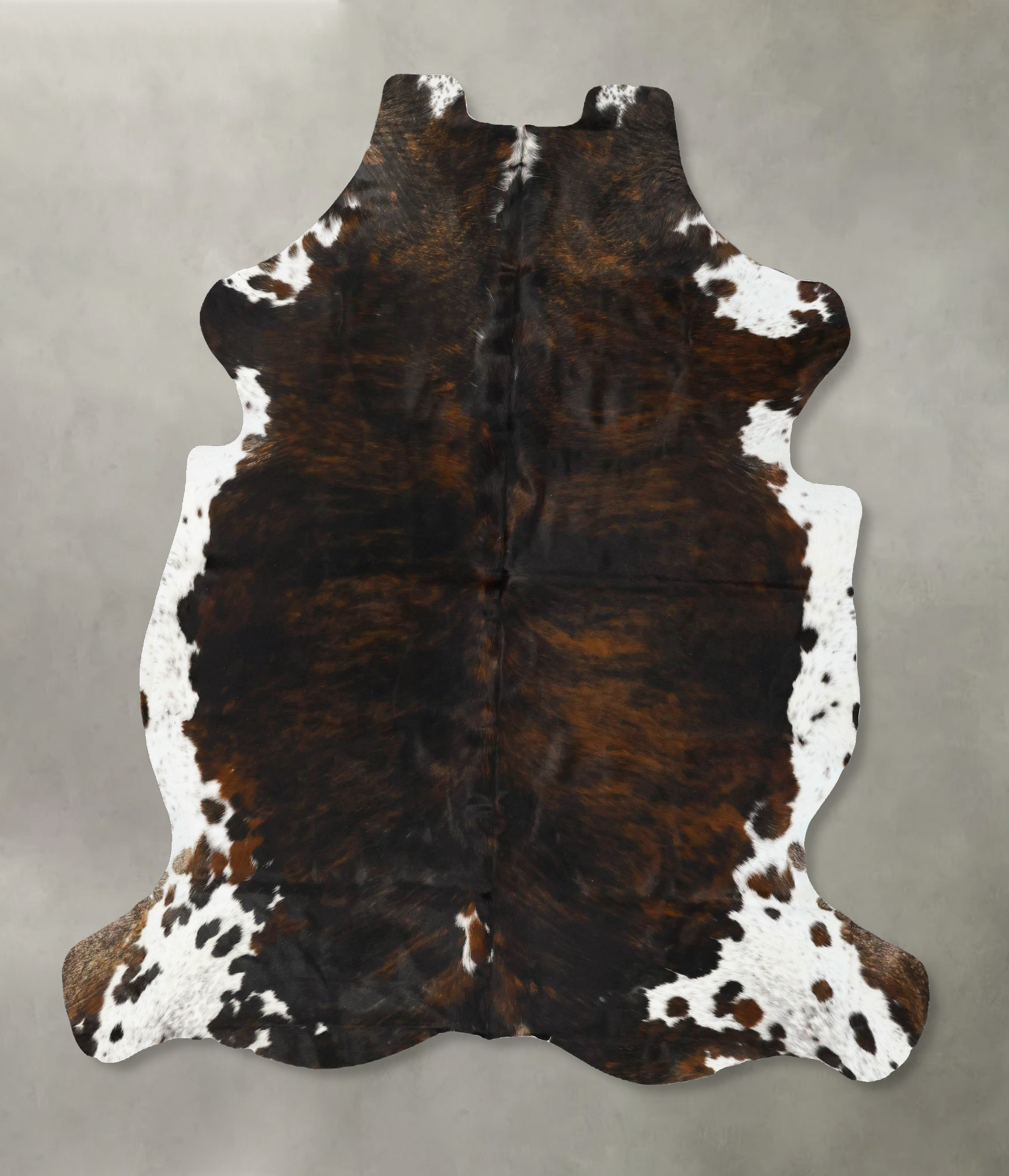 Tricolor Cowhide Rug #B22960