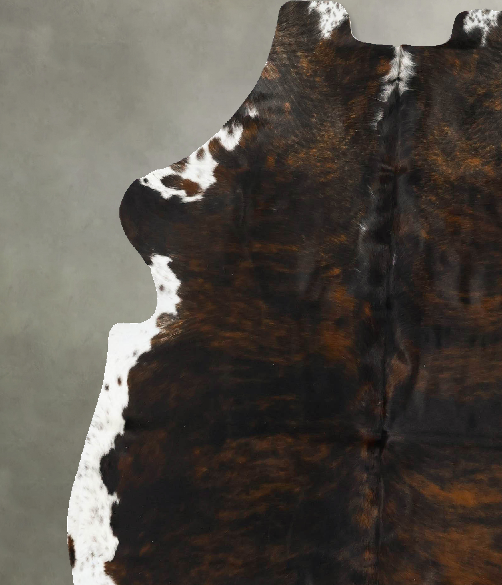 Tricolor Cowhide Rug #B22960