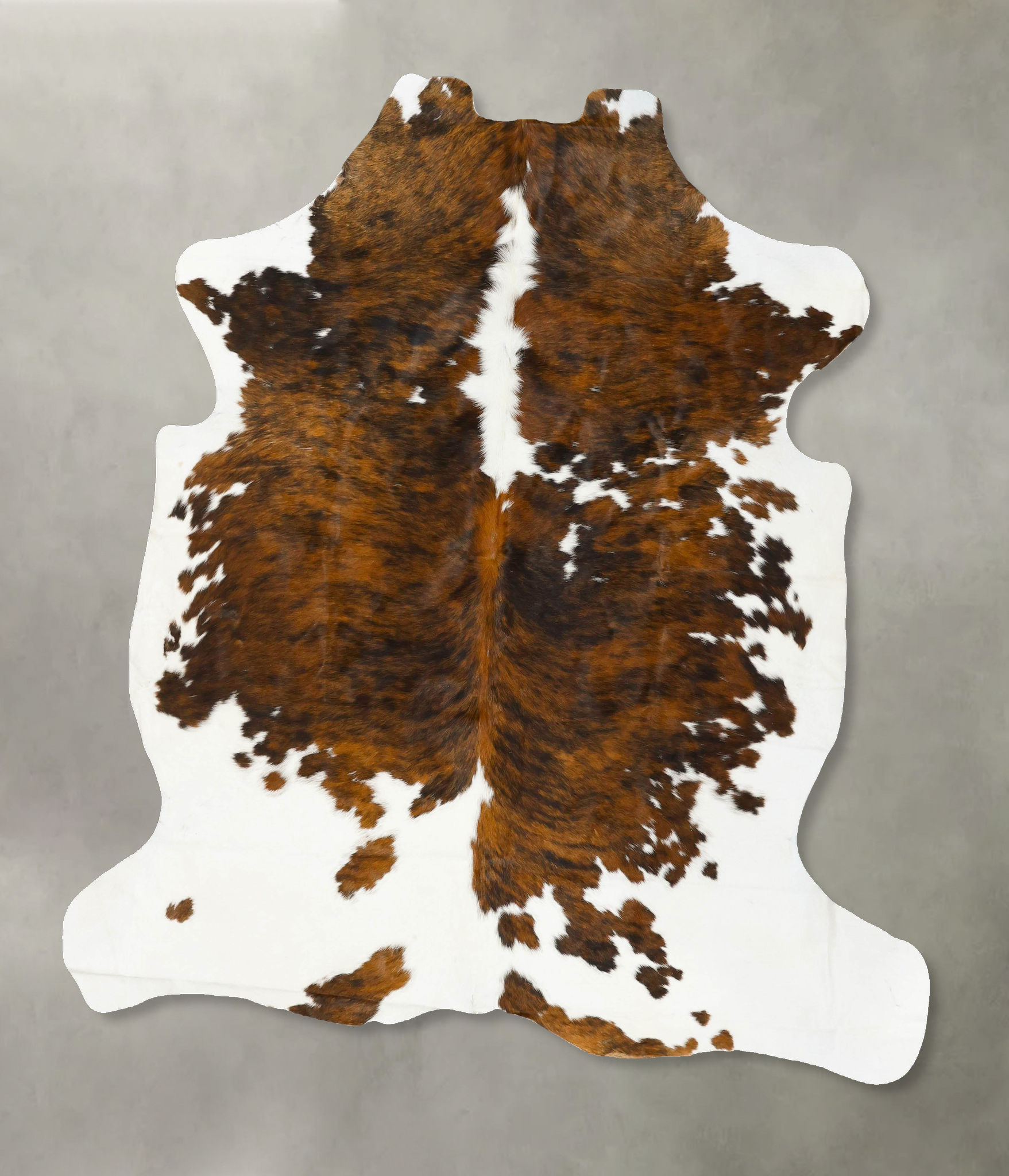 Tricolor Cowhide Rug #B22962