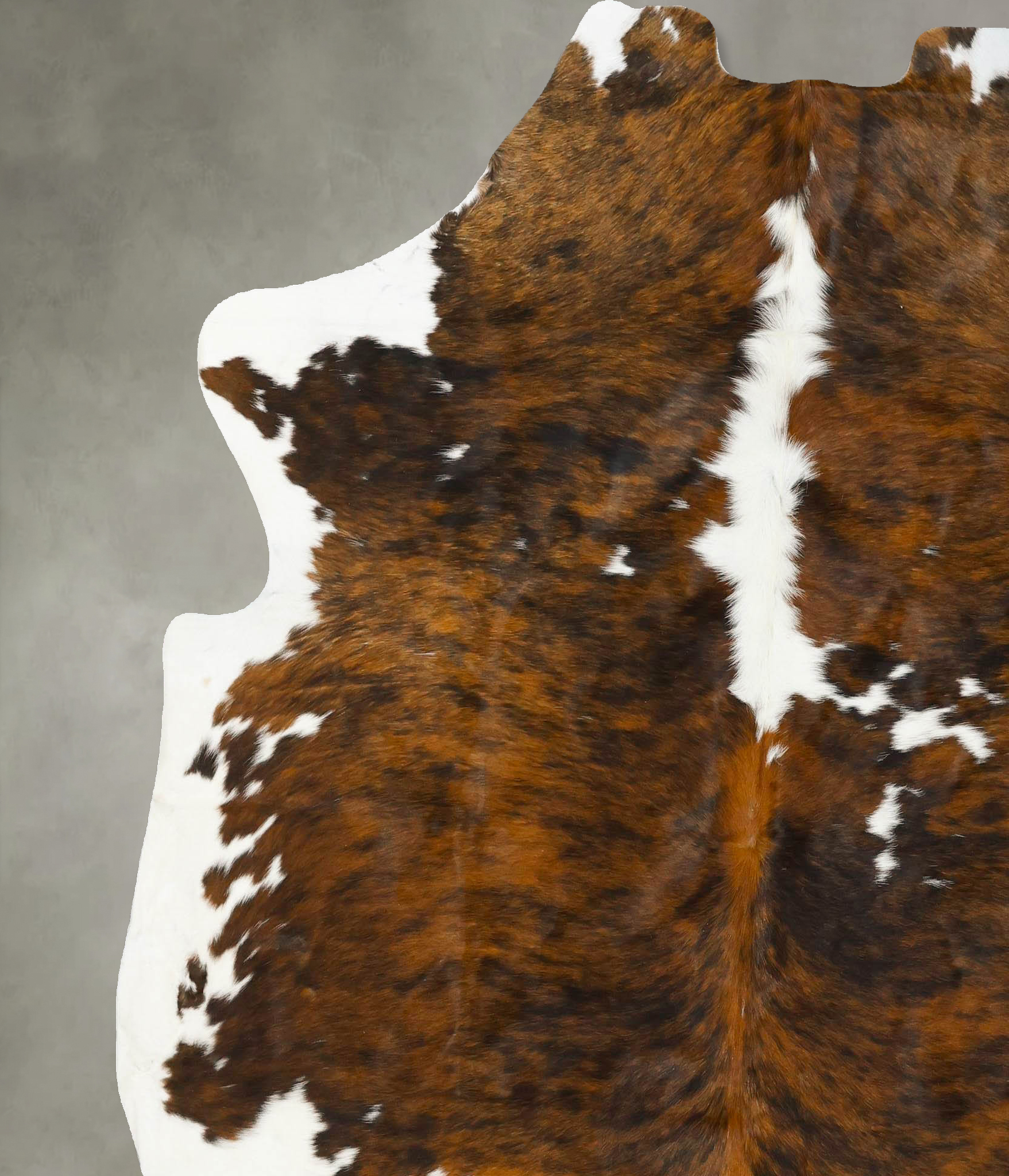 Tricolor Cowhide Rug #B22962