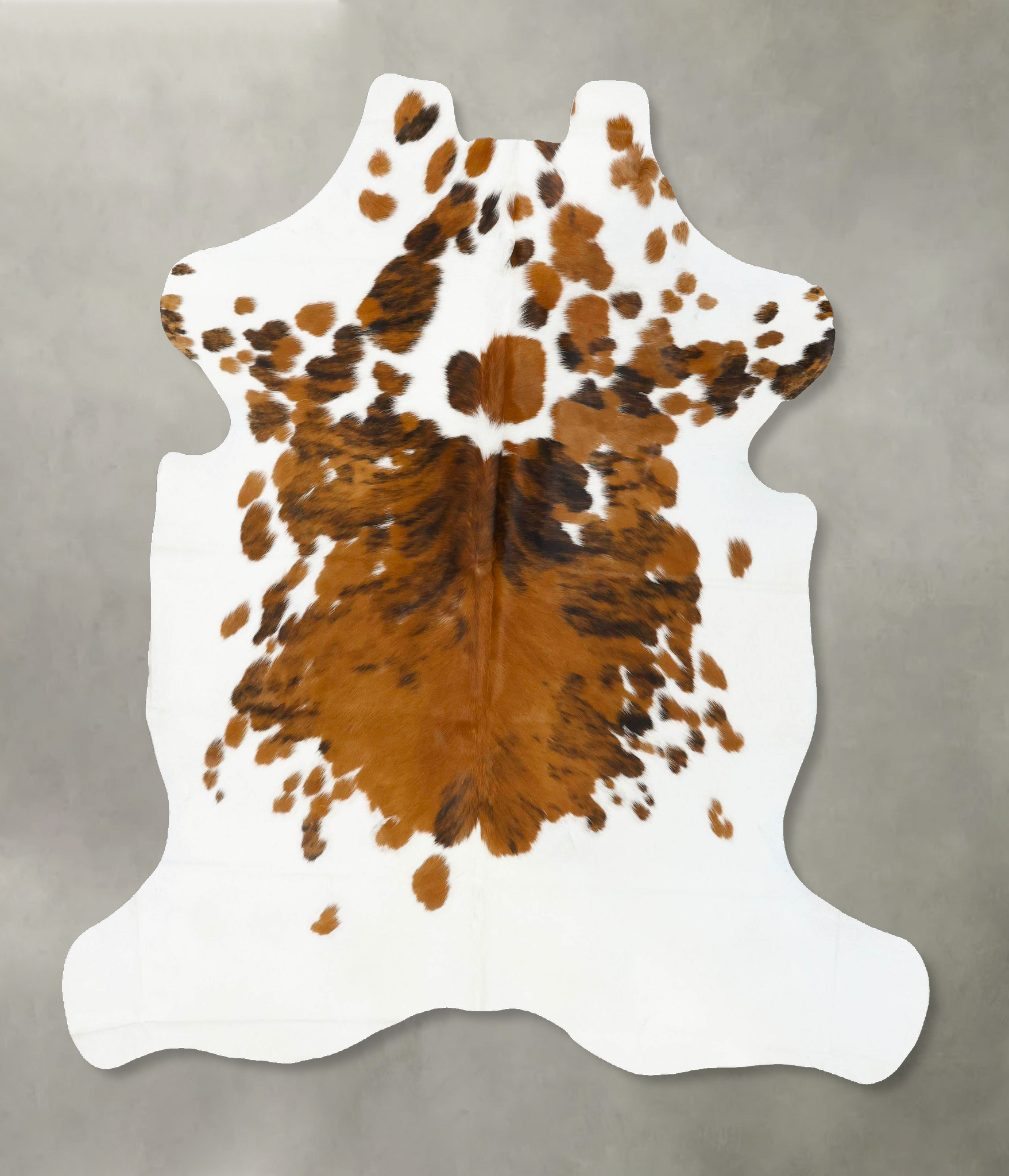 Tricolor Cowhide Rug #B22967