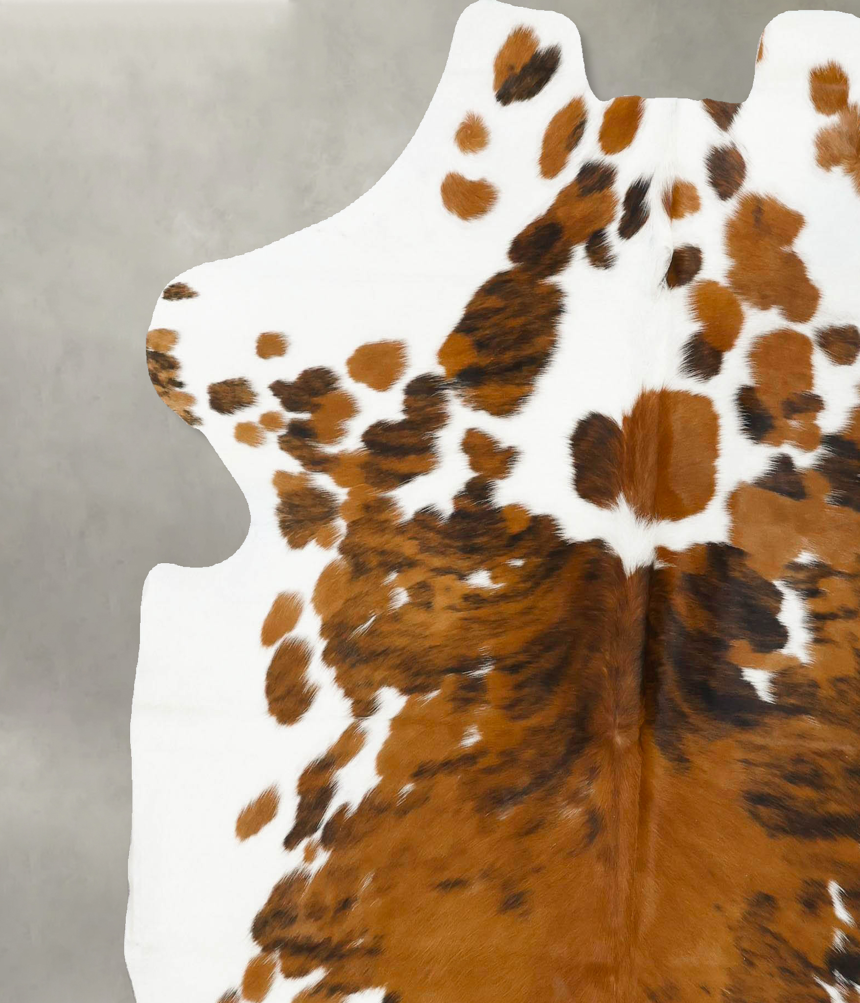 Tricolor Cowhide Rug #B22967