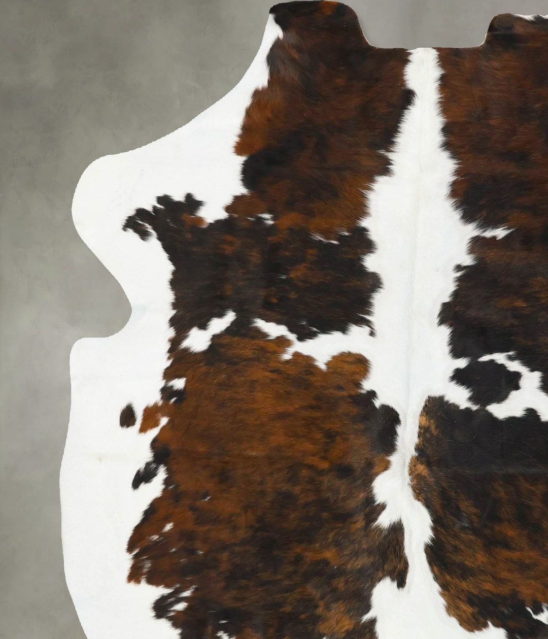 Tricolor Large European Cowhide Rug 6'8"H x 5'9"W #B22969 by Hudson Hi