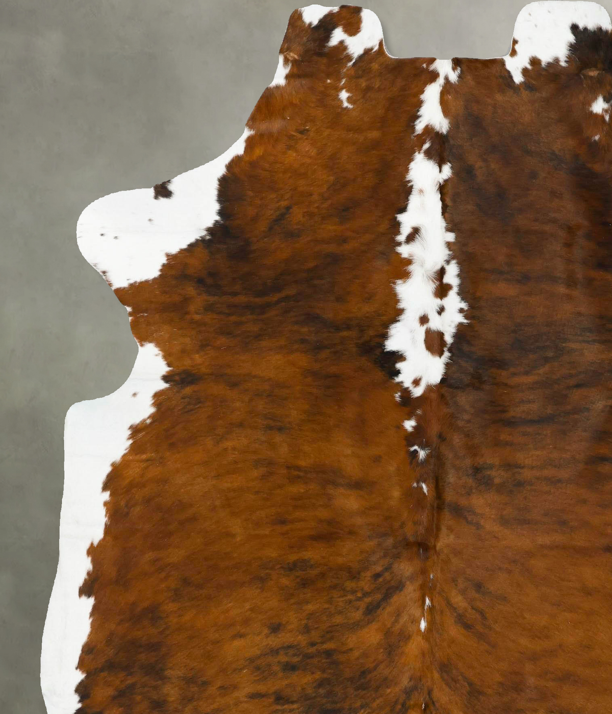 Tricolor X-Large European Cowhide Rug 7'2"H x 5'11"W #B22970 by Hudson Hides