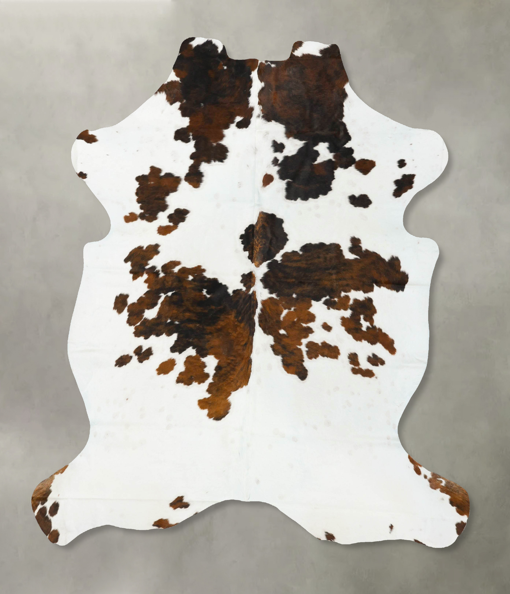Tricolor Cowhide Rug #B22974