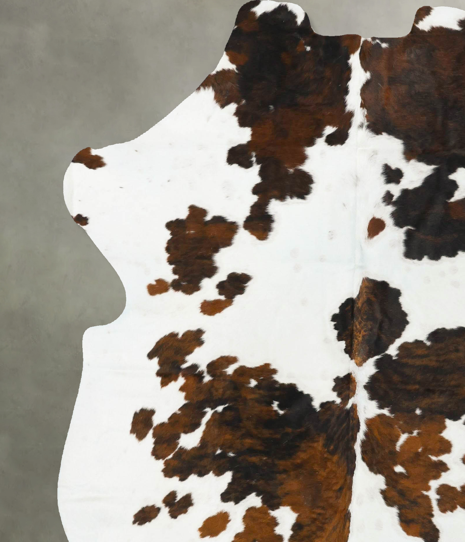 Tricolor Cowhide Rug #B22974