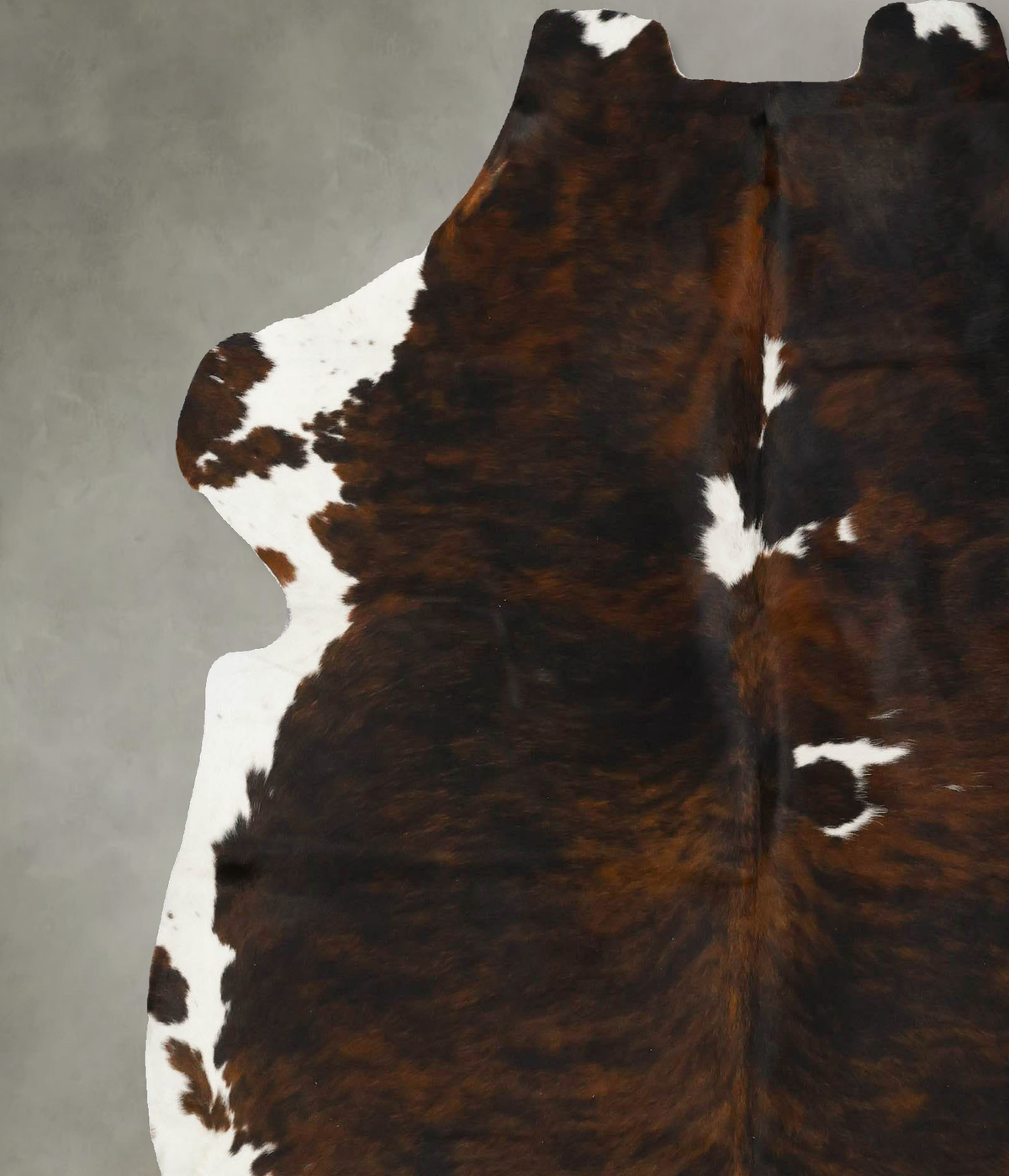 Tricolor X-Large European Cowhide Rug 6'11"H x 6'3"W #B22975 by Hudson Hides