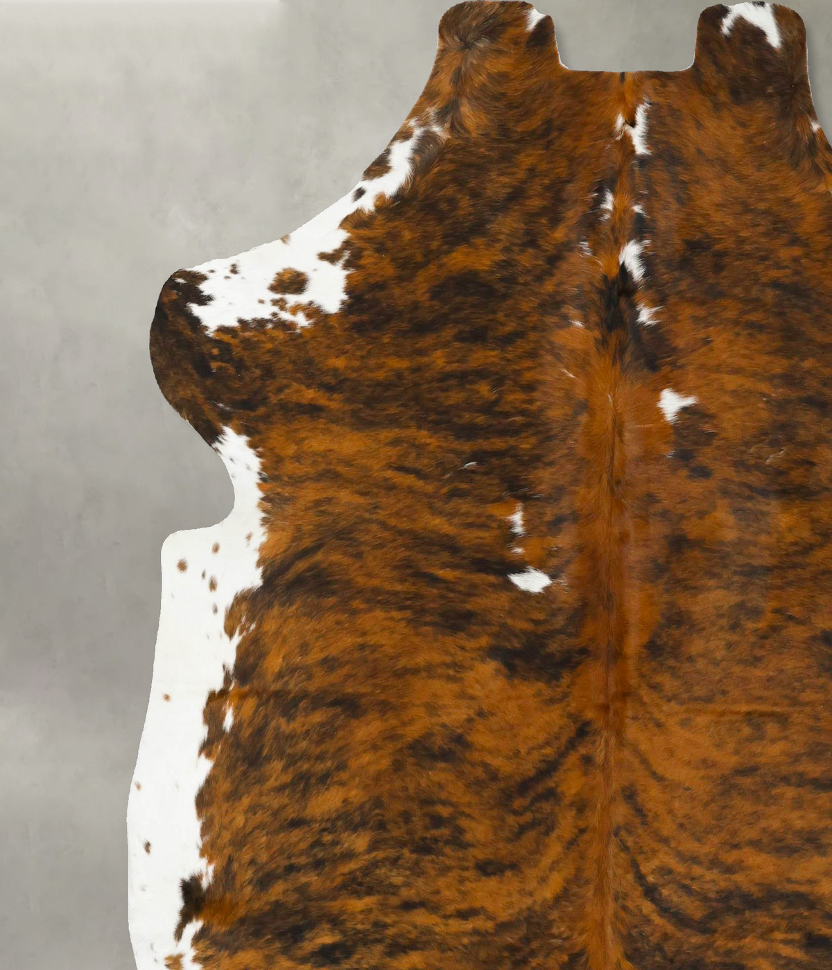 Tricolor X-Large European Cowhide Rug 7'2"H x 6'5"W #B22977 by Hudson Hides