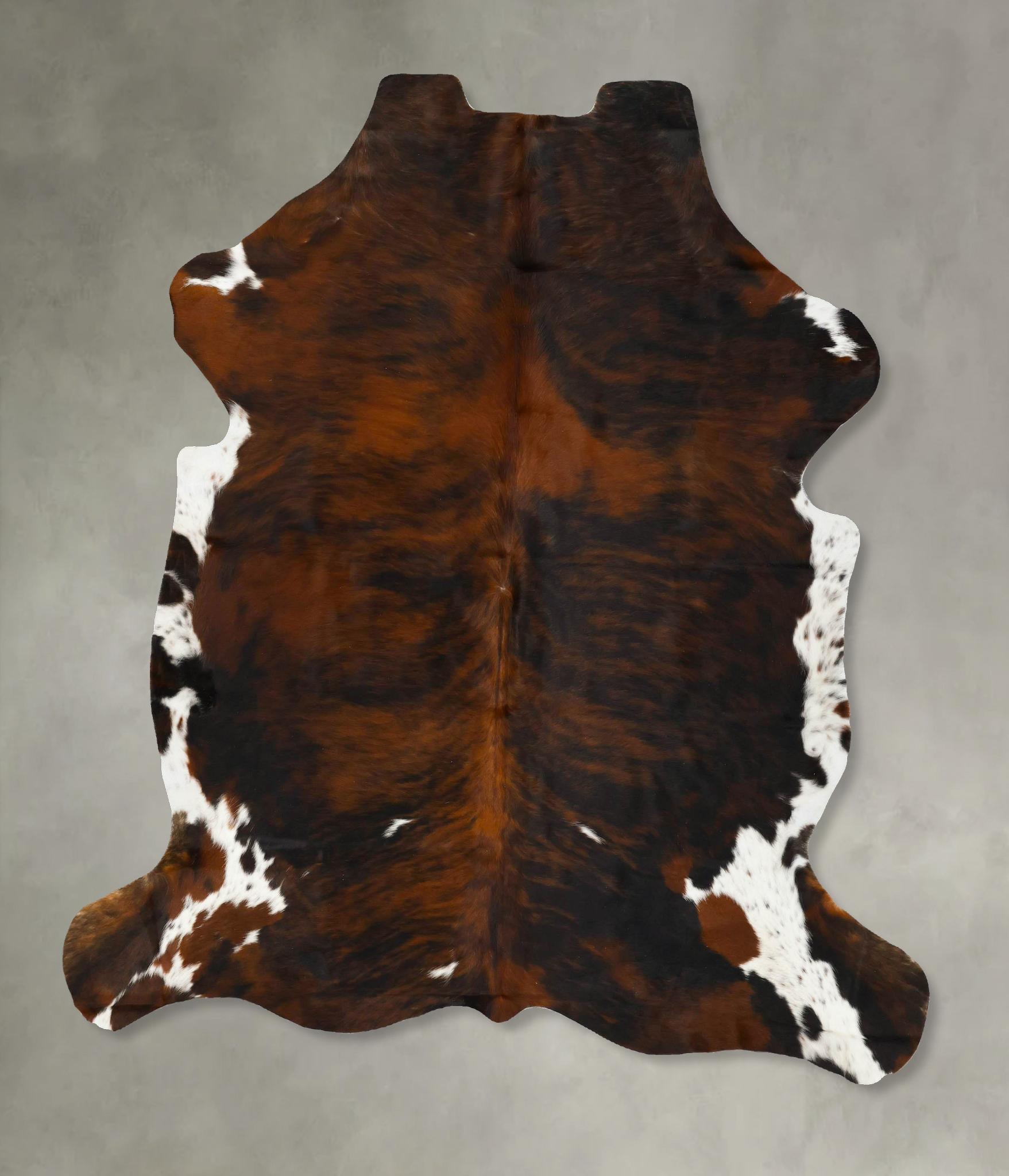 Tricolor Cowhide Rug #B22980