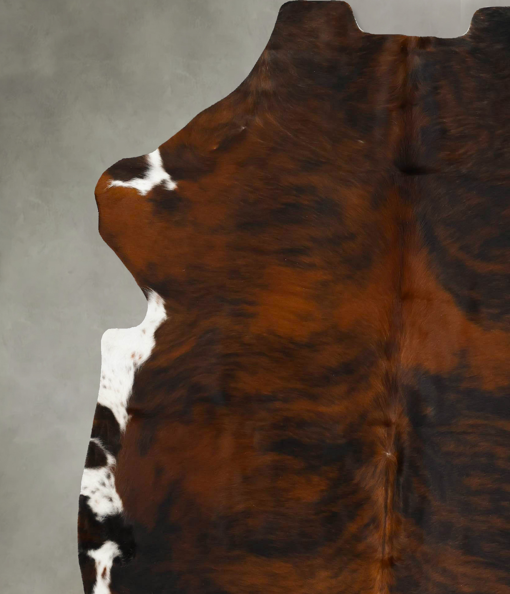 Tricolor Cowhide Rug #B22980