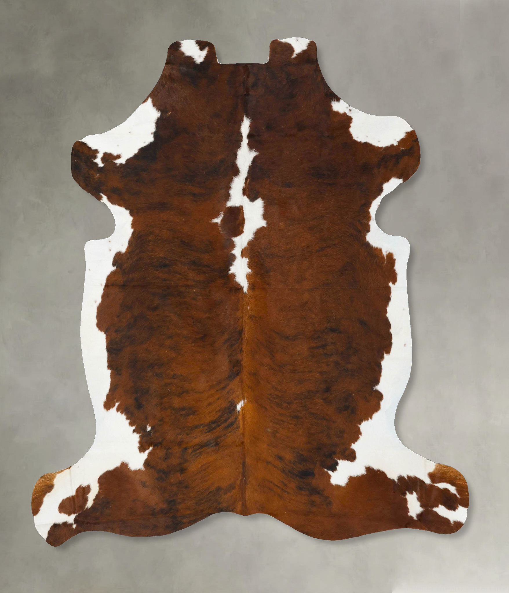 Tricolor Cowhide Rug #B22981