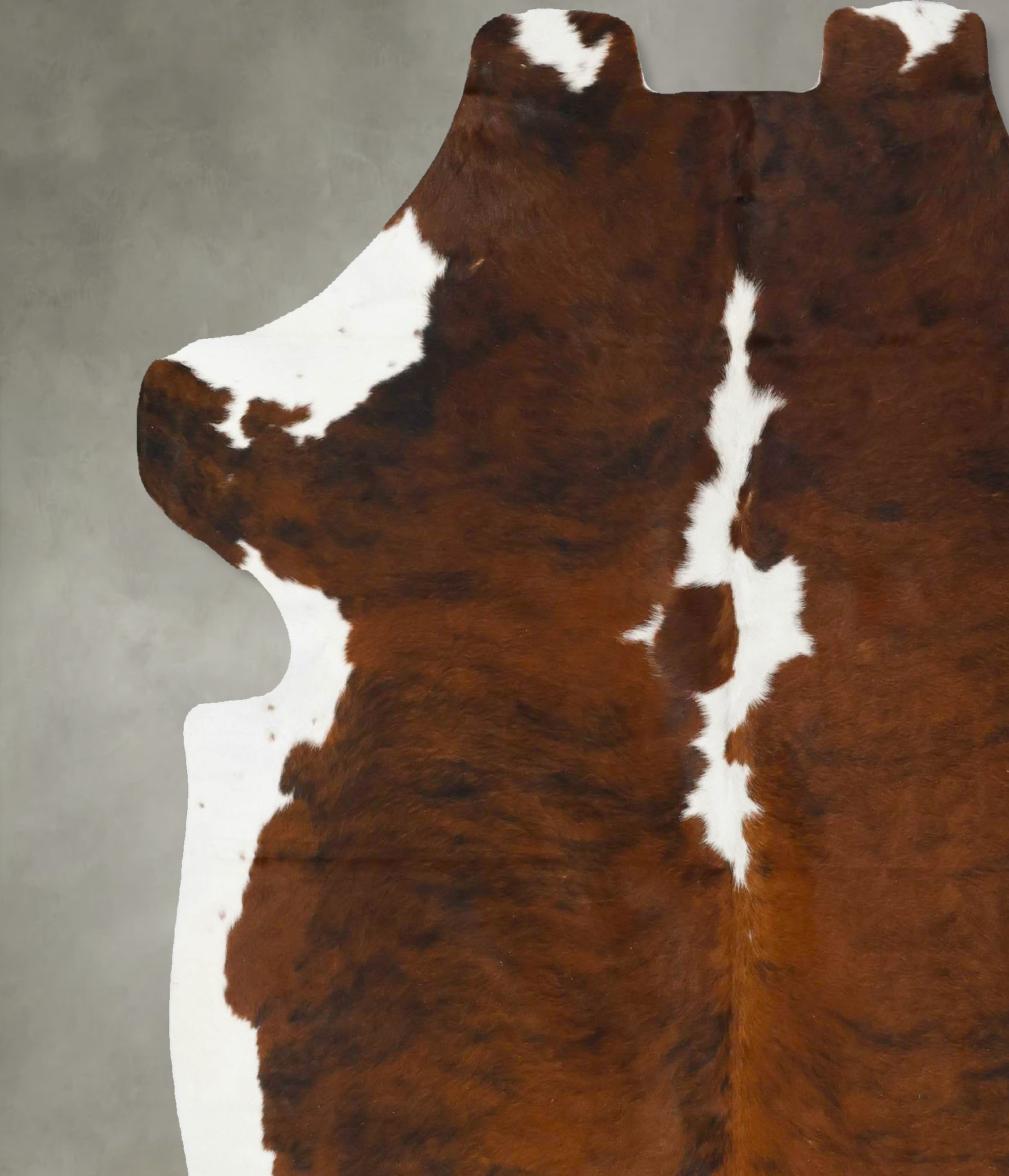 Tricolor Cowhide Rug #B22981
