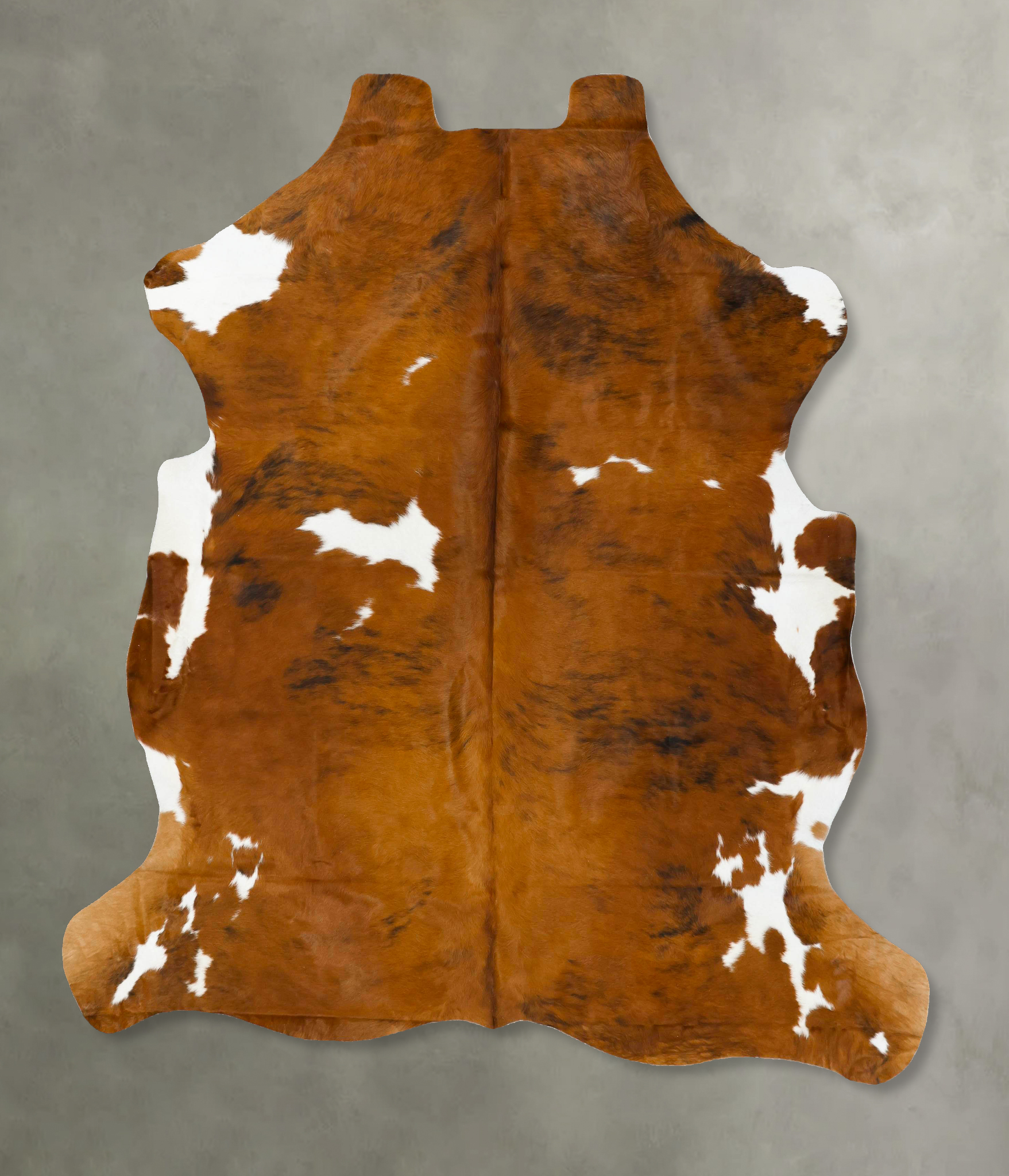 Tricolor Cowhide Rug #B22983