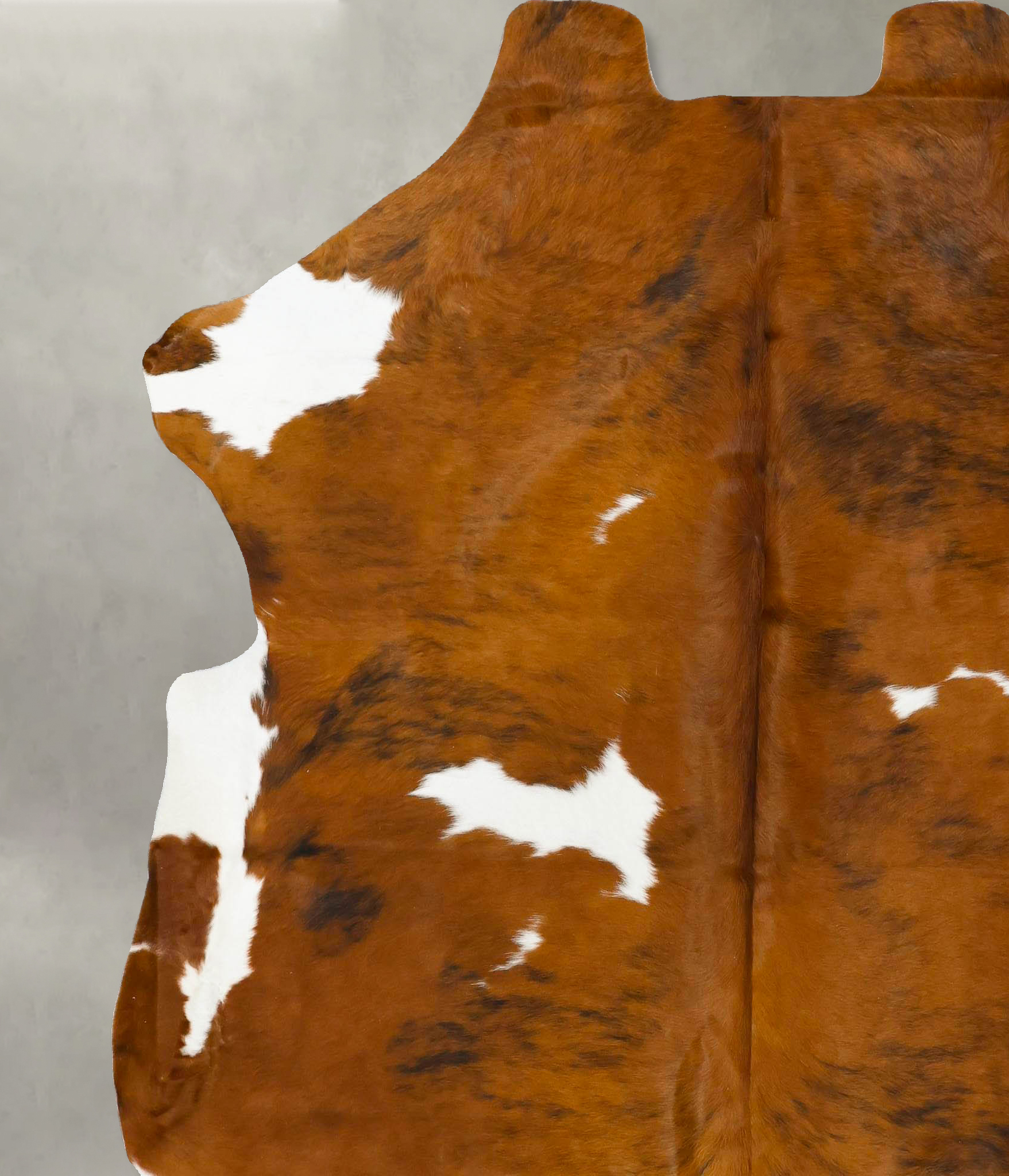 Tricolor Cowhide Rug #B22983