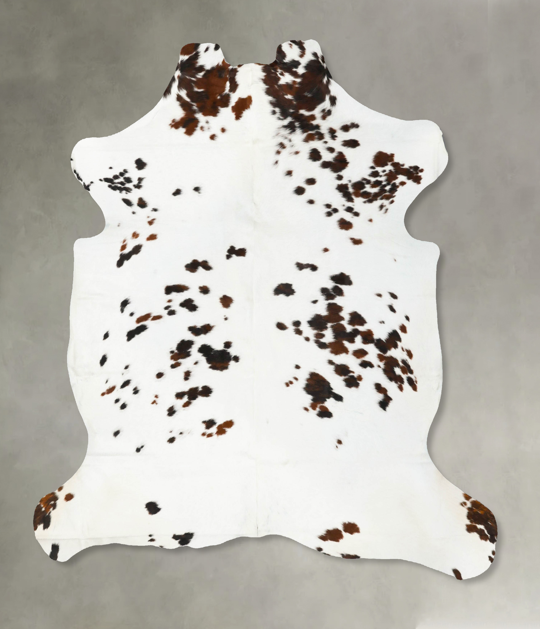 Tricolor Cowhide Rug #B22985