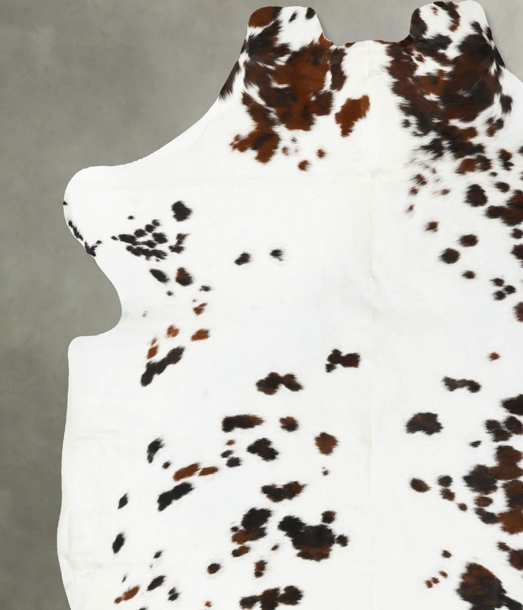 Tricolor Cowhide Rug #B22985
