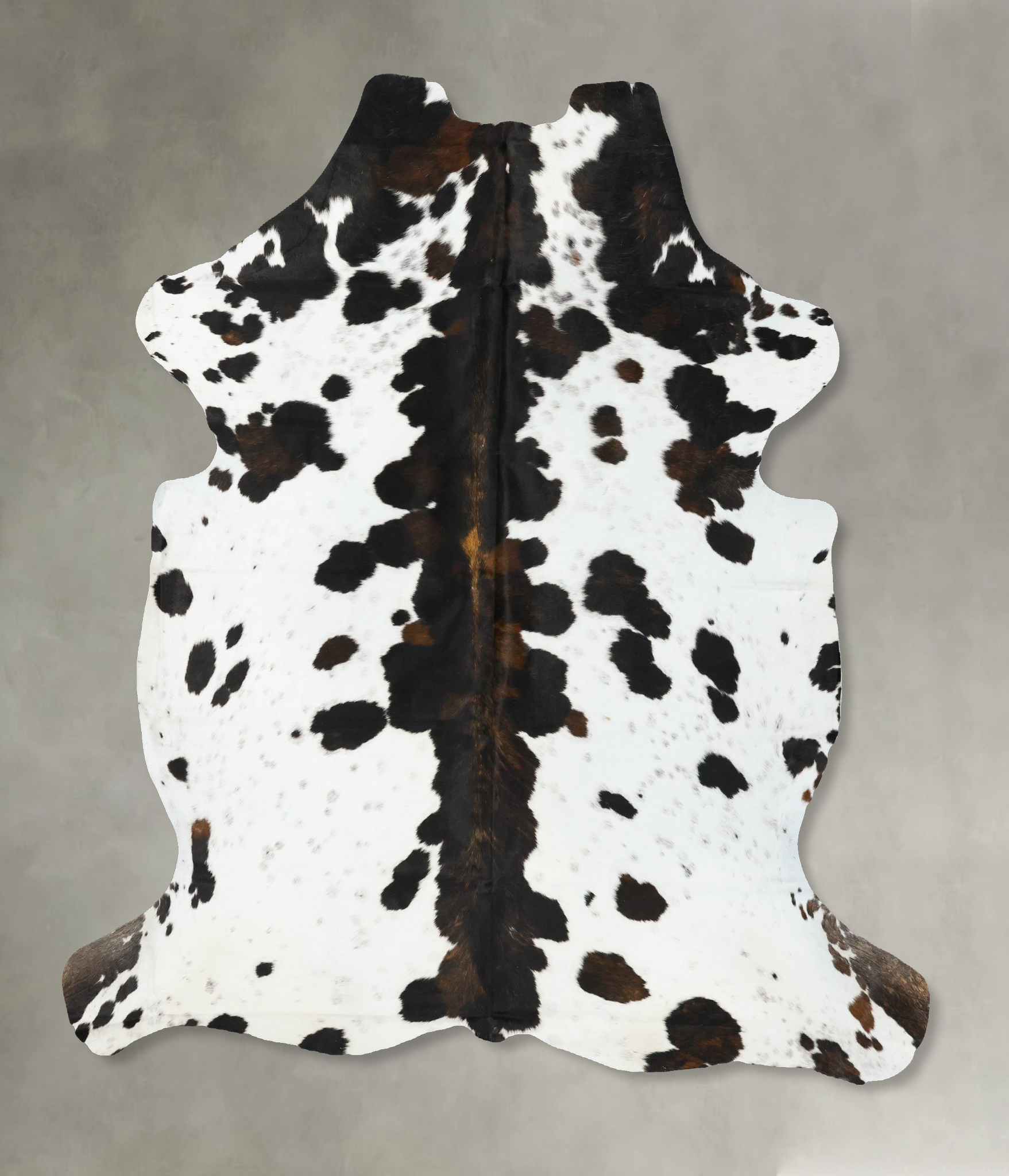 Tricolor Cowhide Rug #B22986