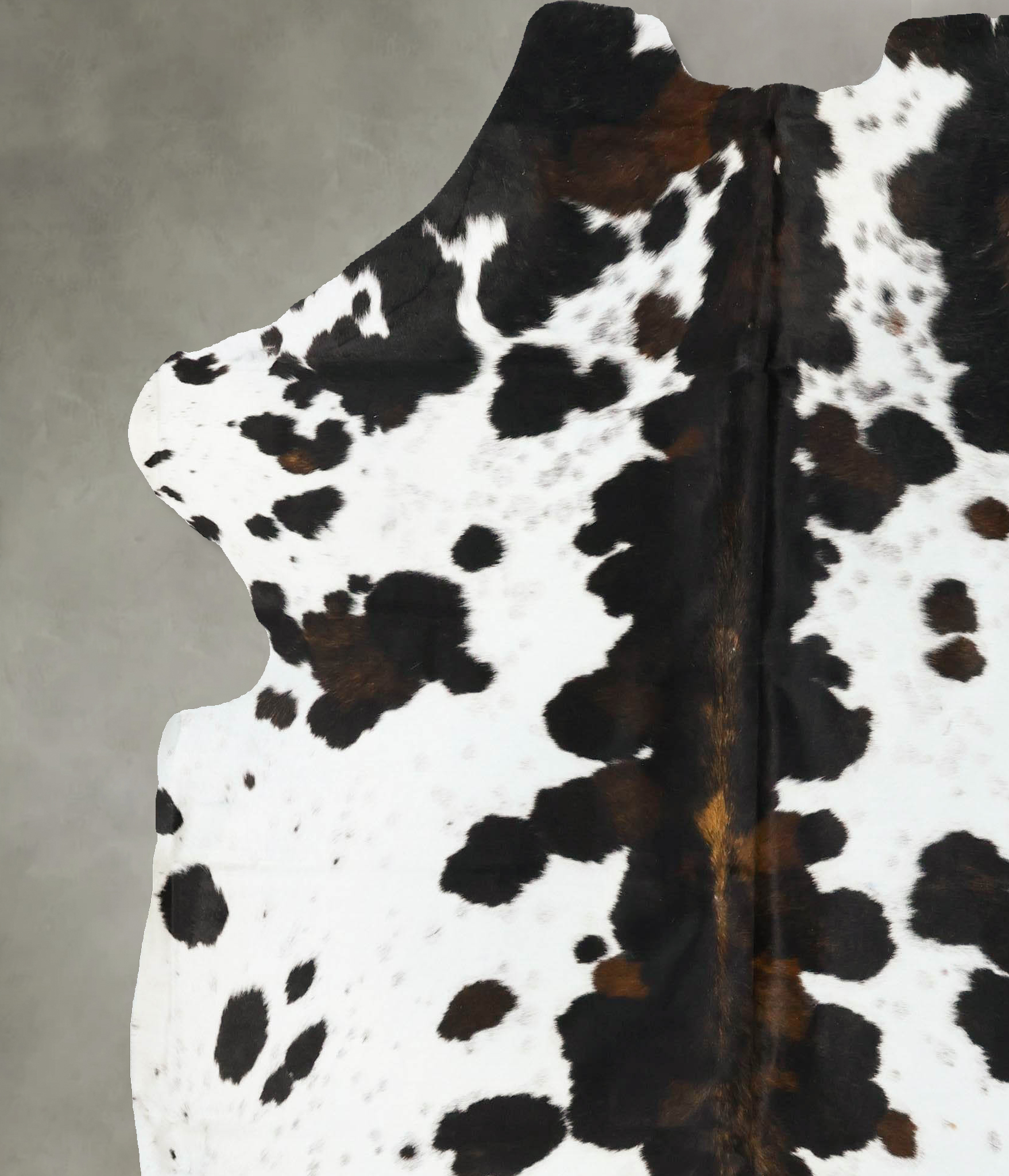 Tricolor Cowhide Rug #B22986
