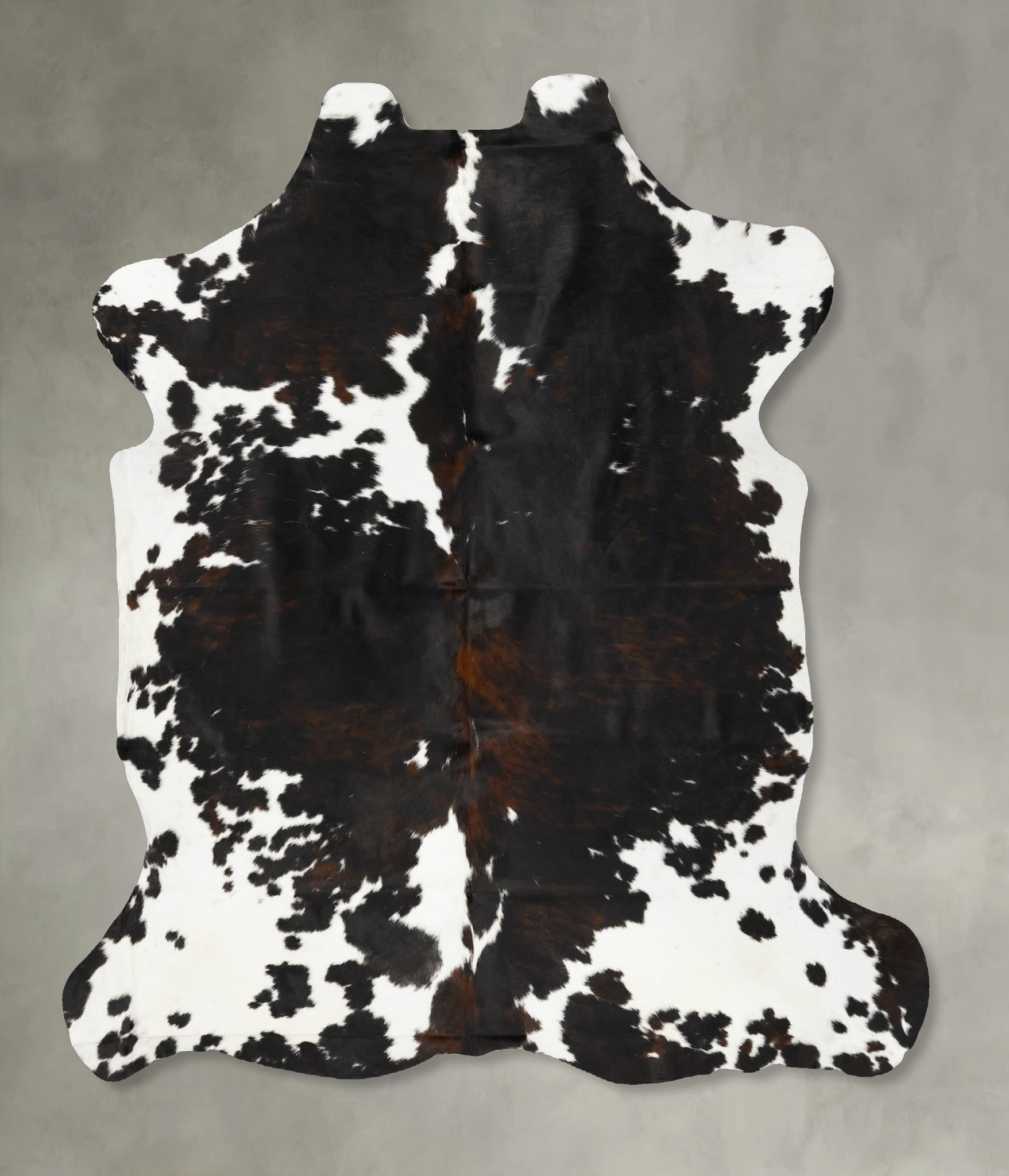 Tricolor Cowhide Rug #B22987