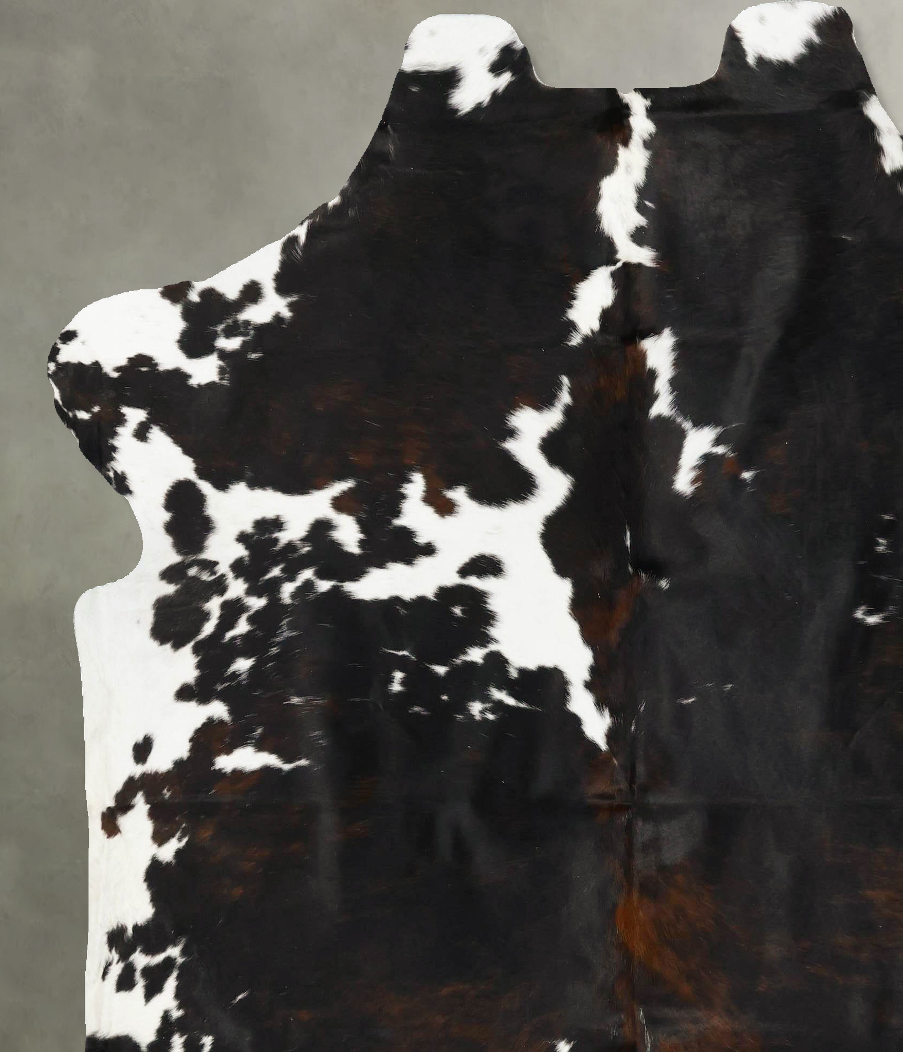 Tricolor Cowhide Rug #B22987