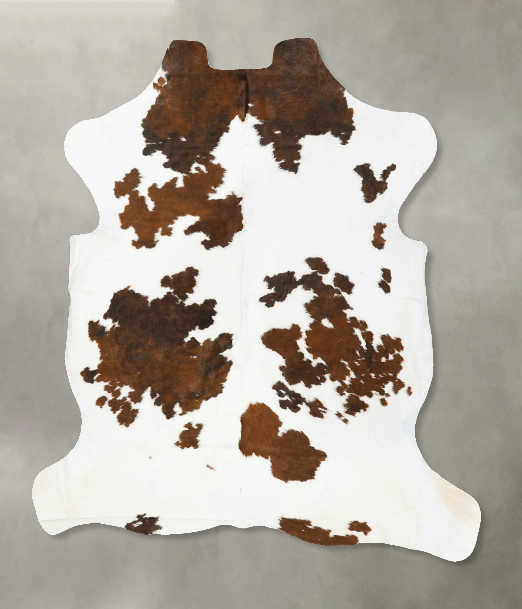 Tricolor Cowhide Rug #B22988