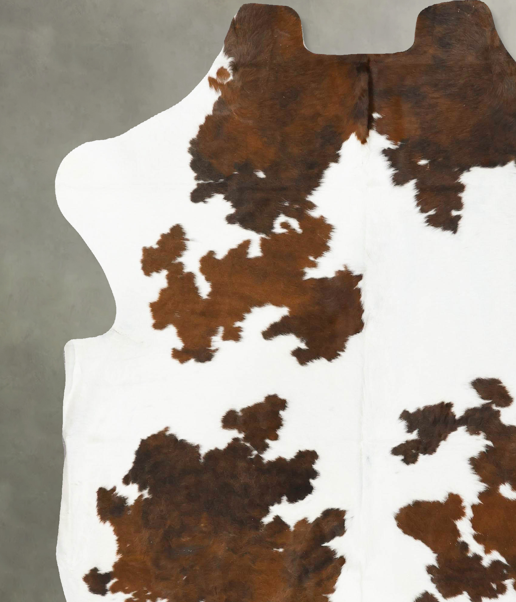 Tricolor Cowhide Rug #B22988