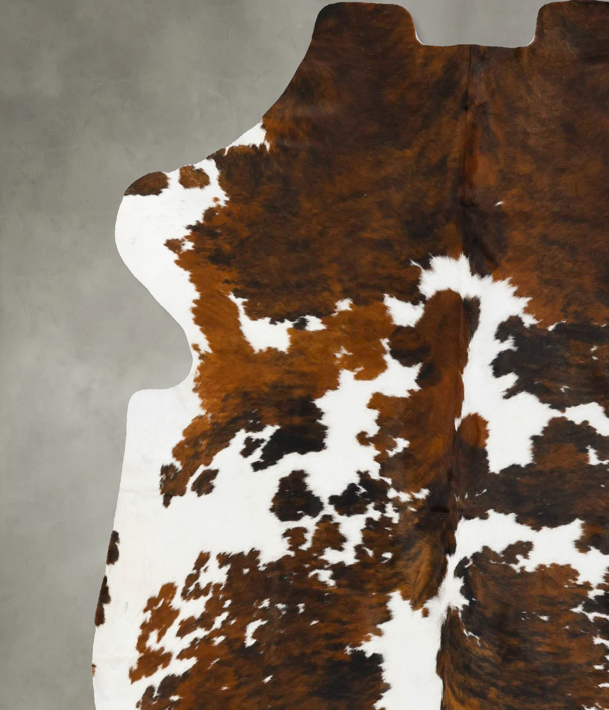 Tricolor X-Large European Cowhide Rug 7'5"H x 6'5"W #B22989 by Hudson Hides