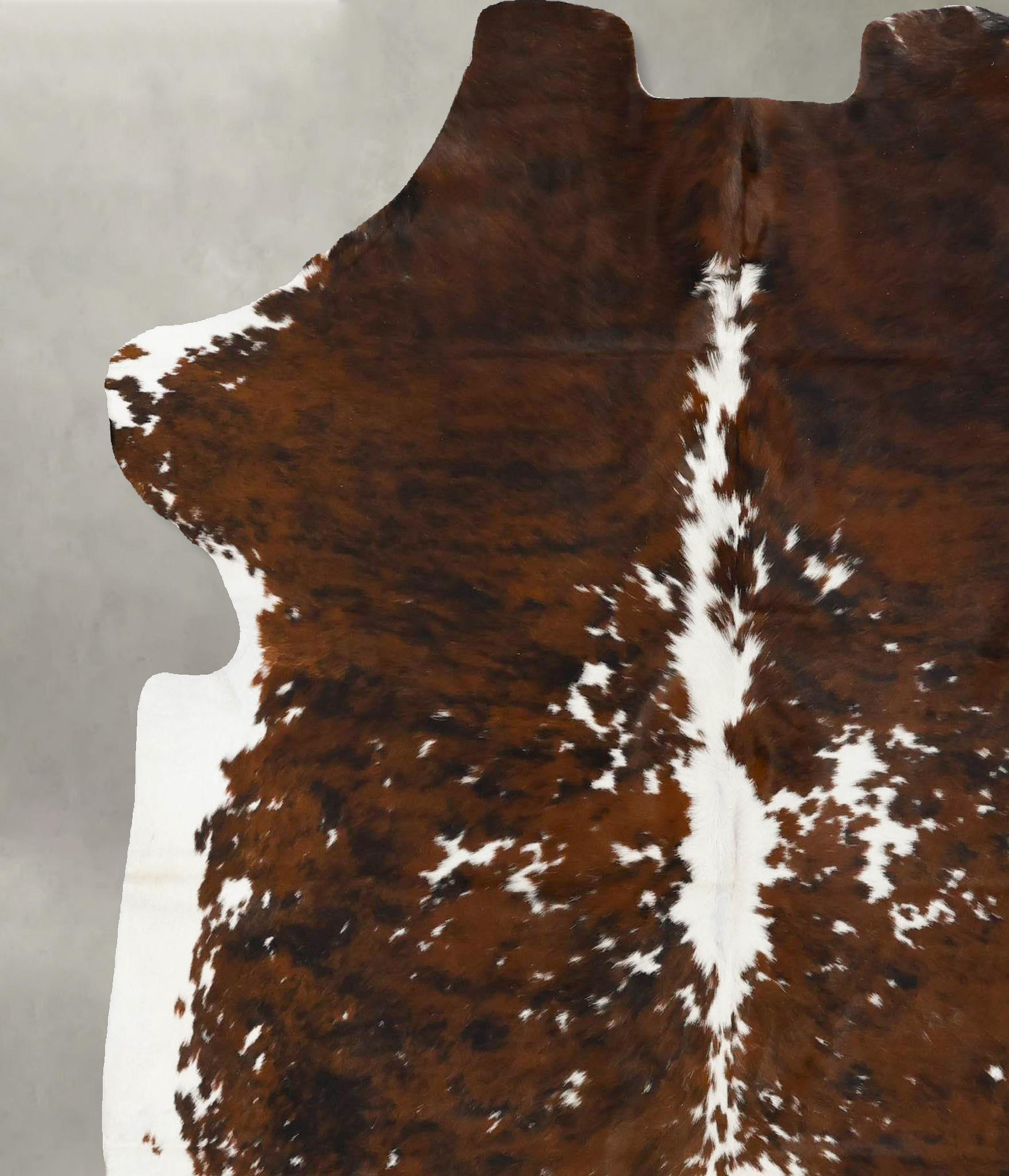 Tricolor Cowhide Rug #B22990