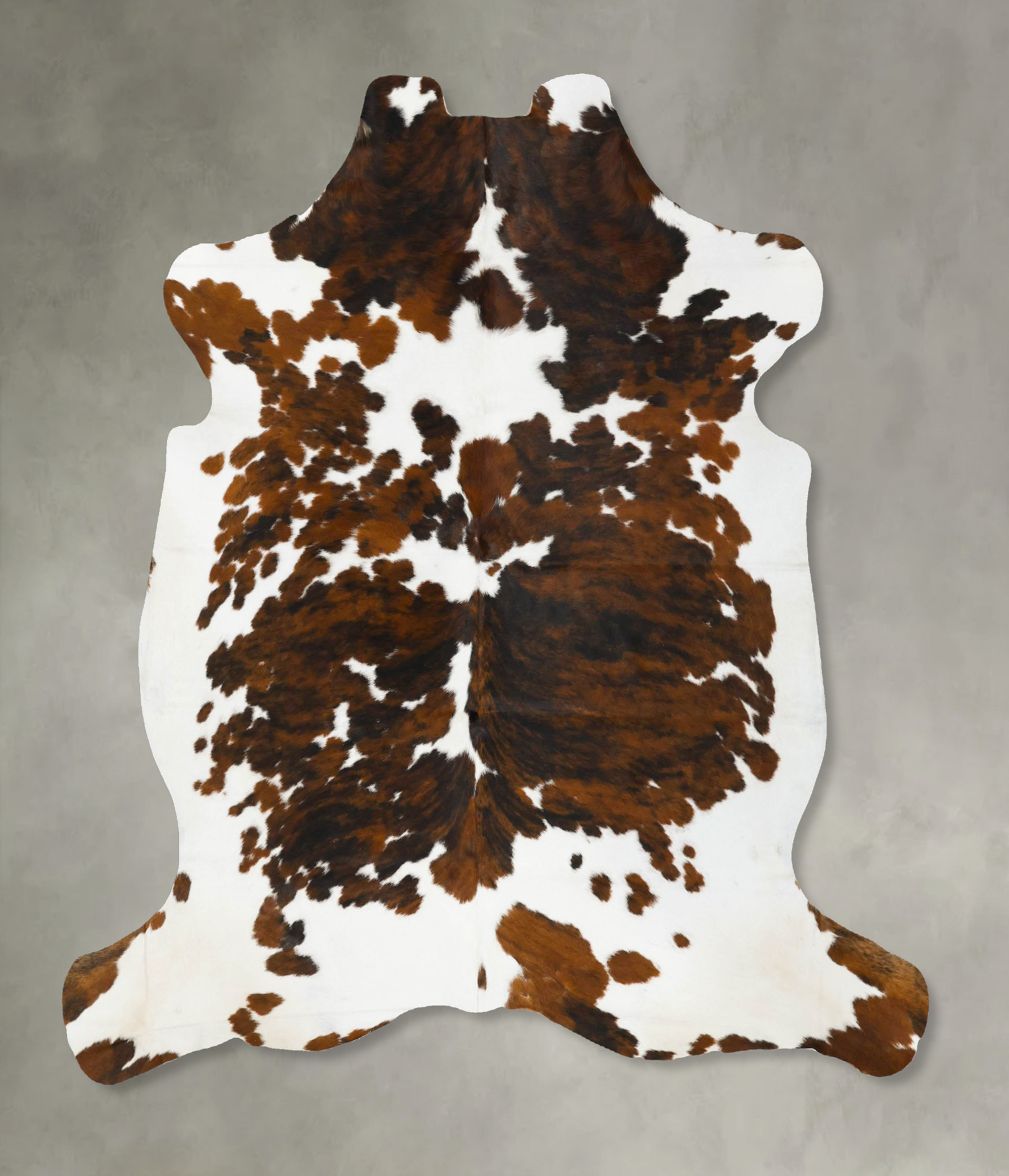 Tricolor Cowhide Rug #B22991