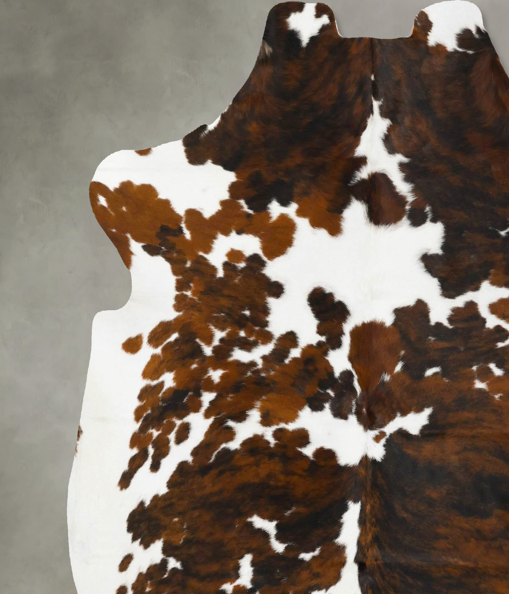 Tricolor Cowhide Rug #B22991