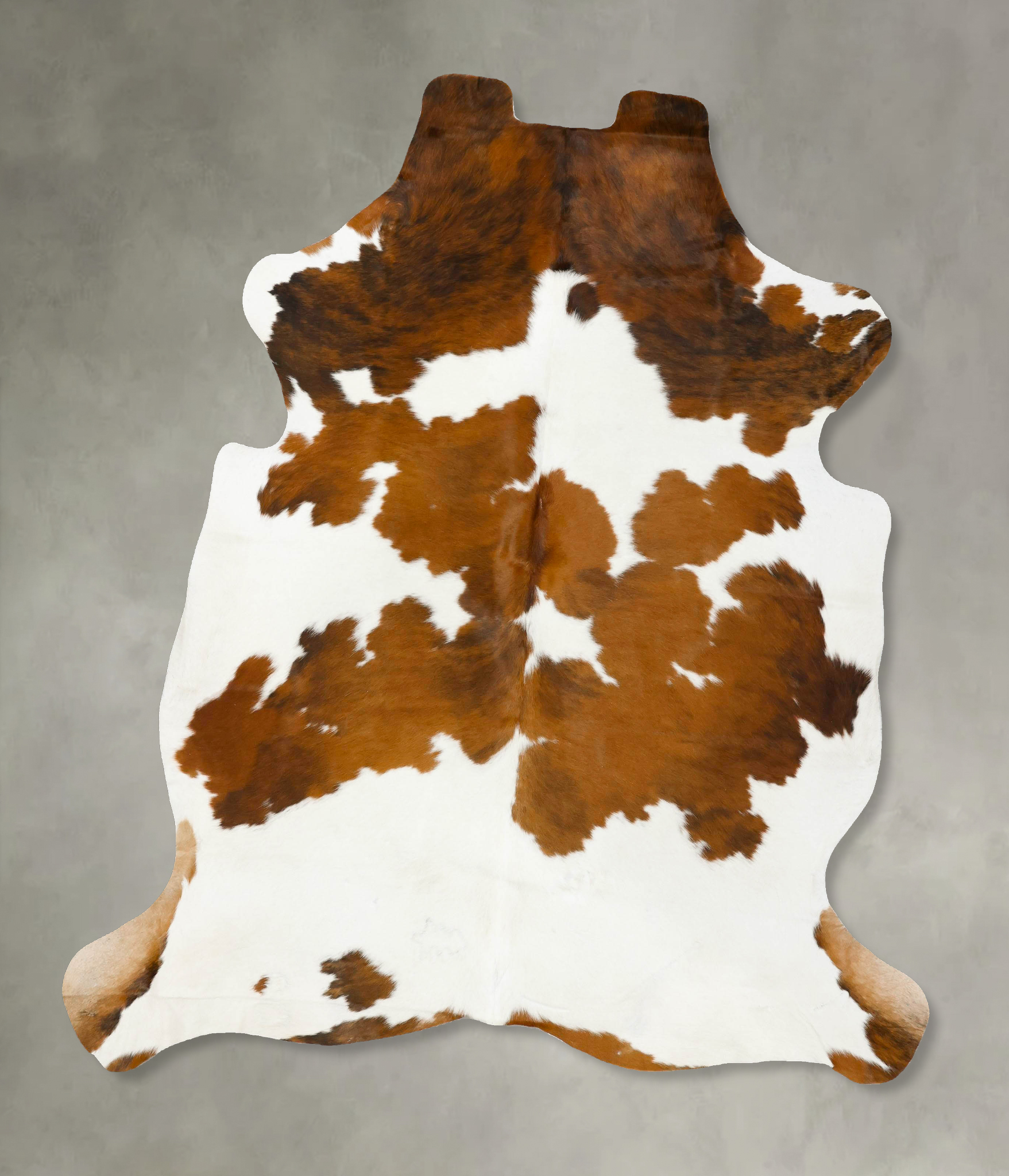 Tricolor Cowhide Rug #B22992