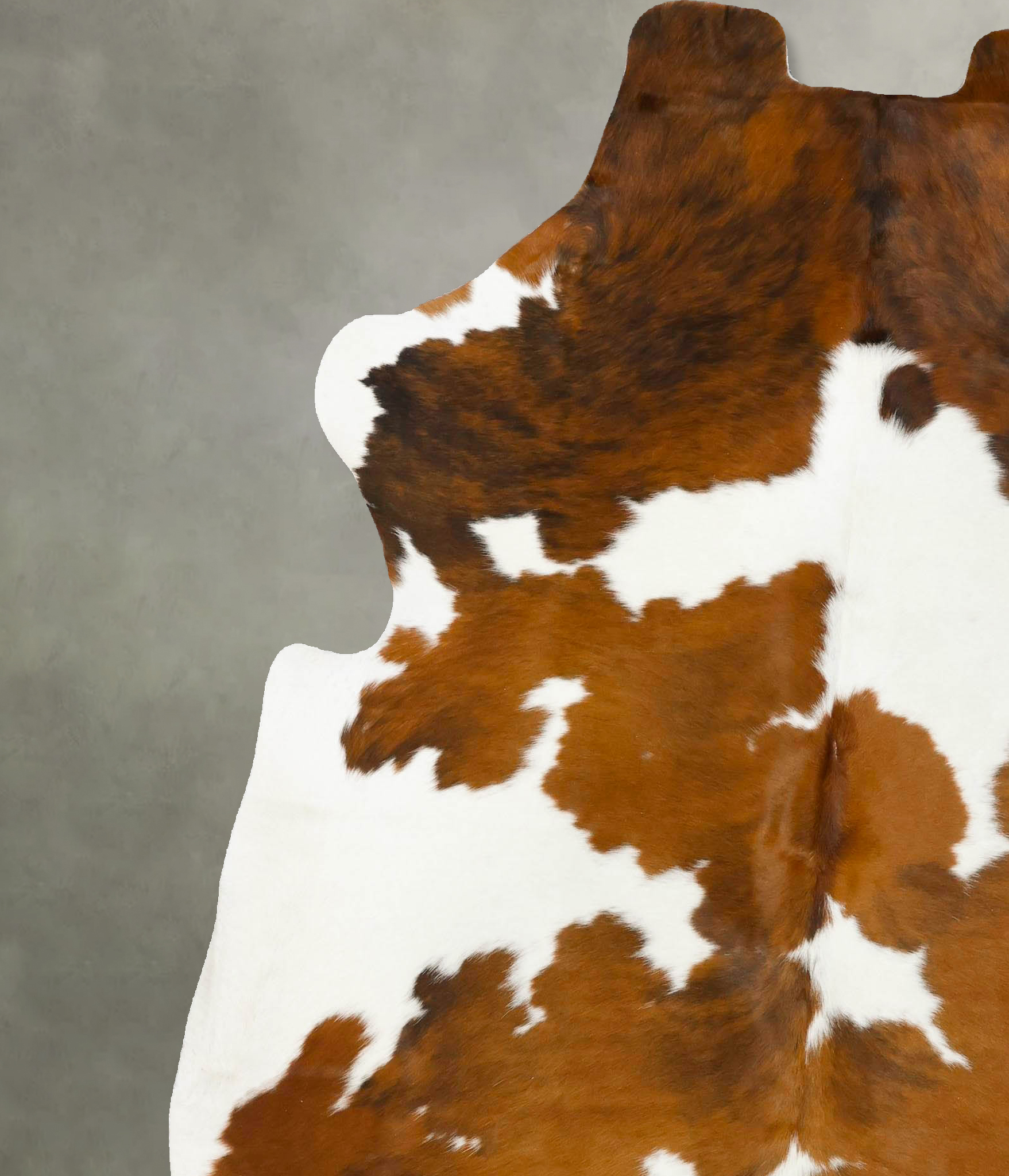 Tricolor Cowhide Rug #B22992