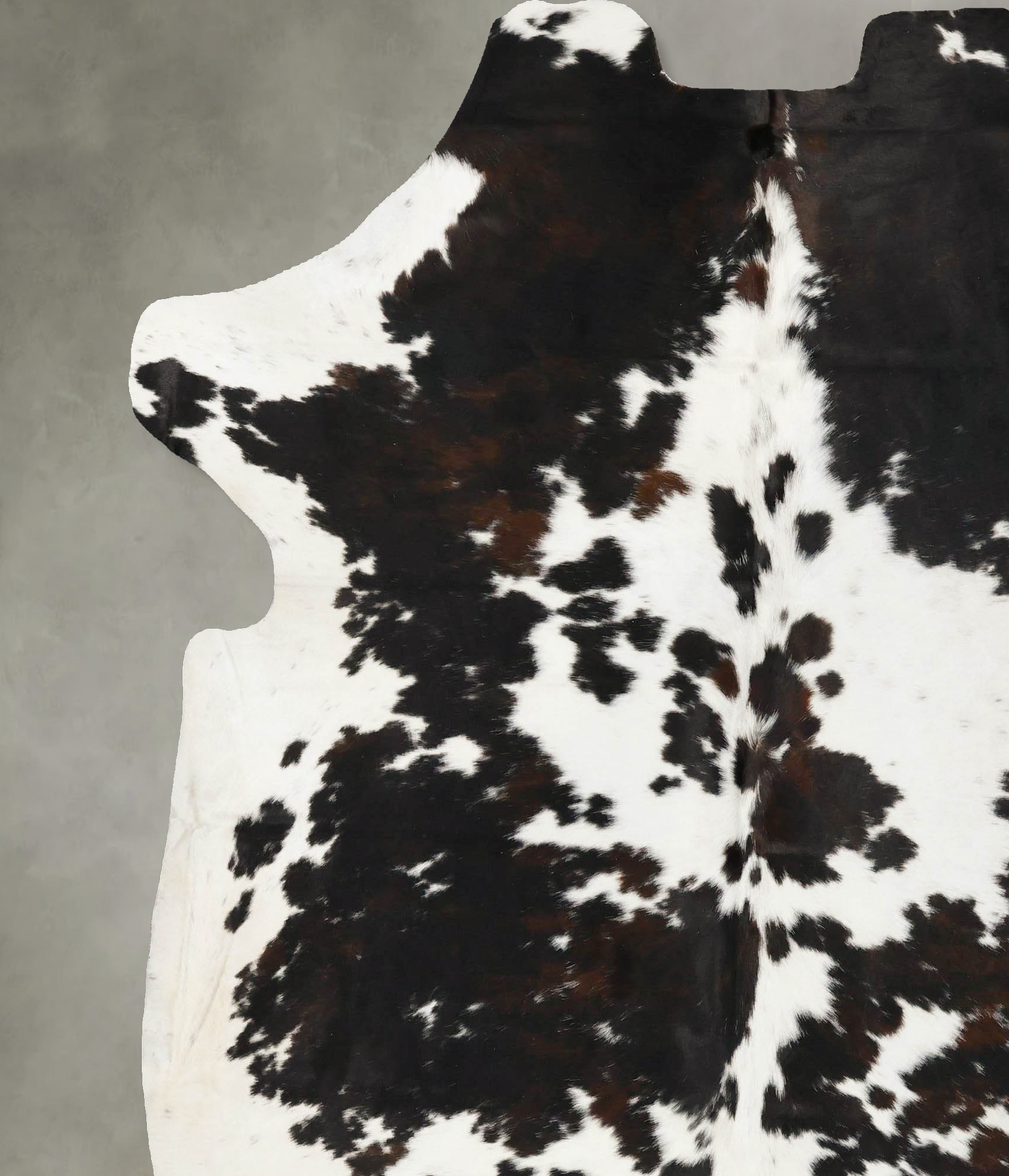 Tricolor Cowhide Rug #B22993