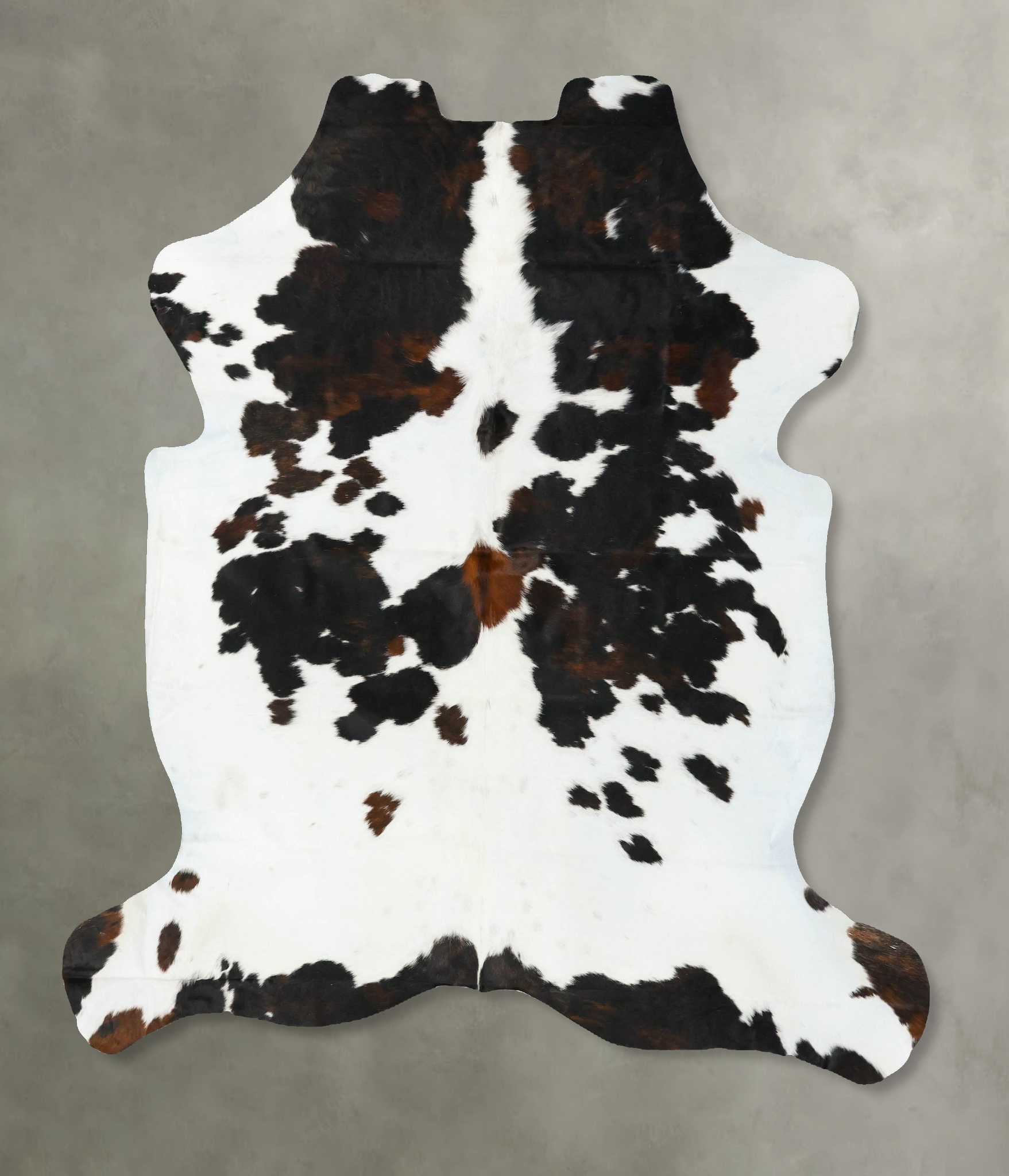 Tricolor Cowhide Rug #B22994